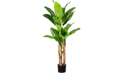 Creativ green Kunstpalme »Bananenpflanze«, (1 St.) kaufen