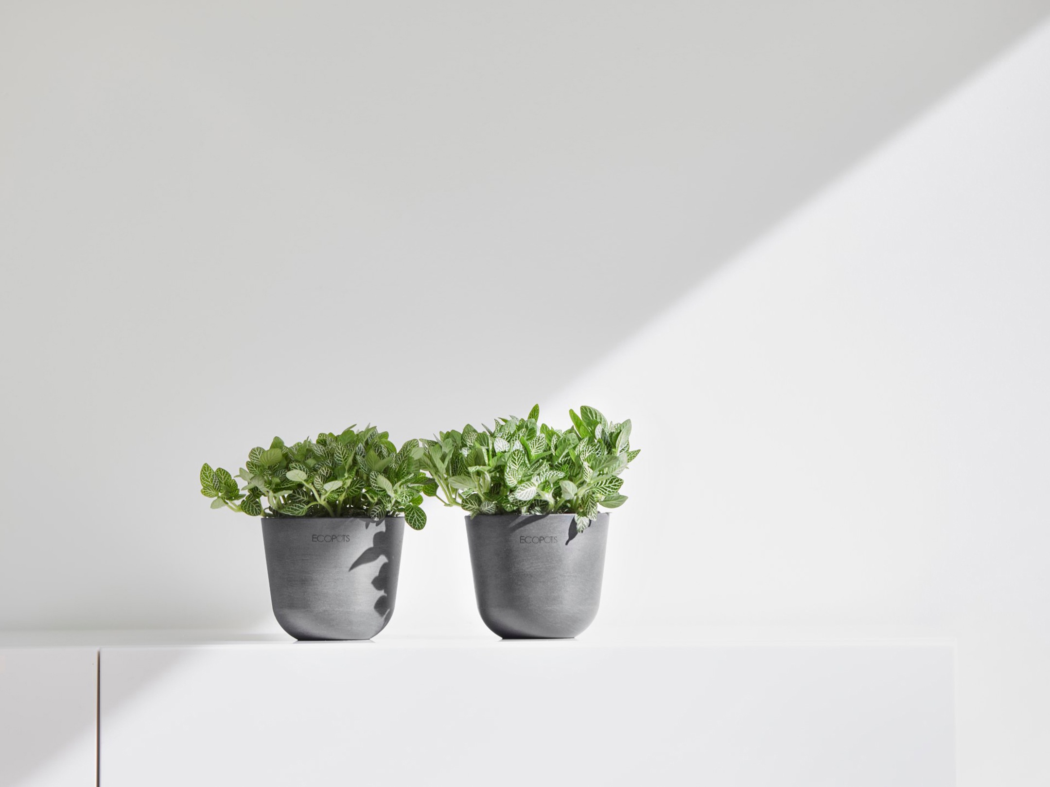 ECOPOTS Blumentopf »Oslo Mini 11,5 Grau«, für den Innenbereich