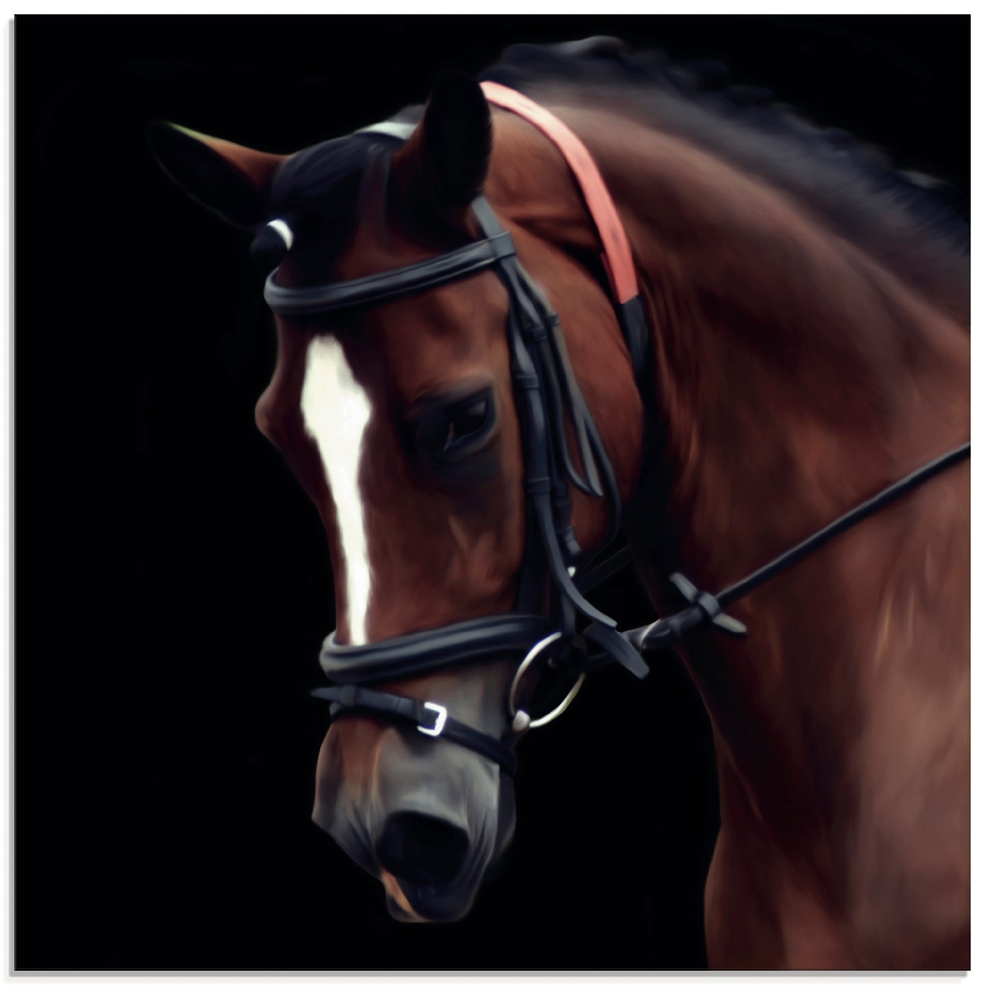 Artland Glasbild "Dressur Pferd", Haustiere, (1 St.), in verschiedenen Größen