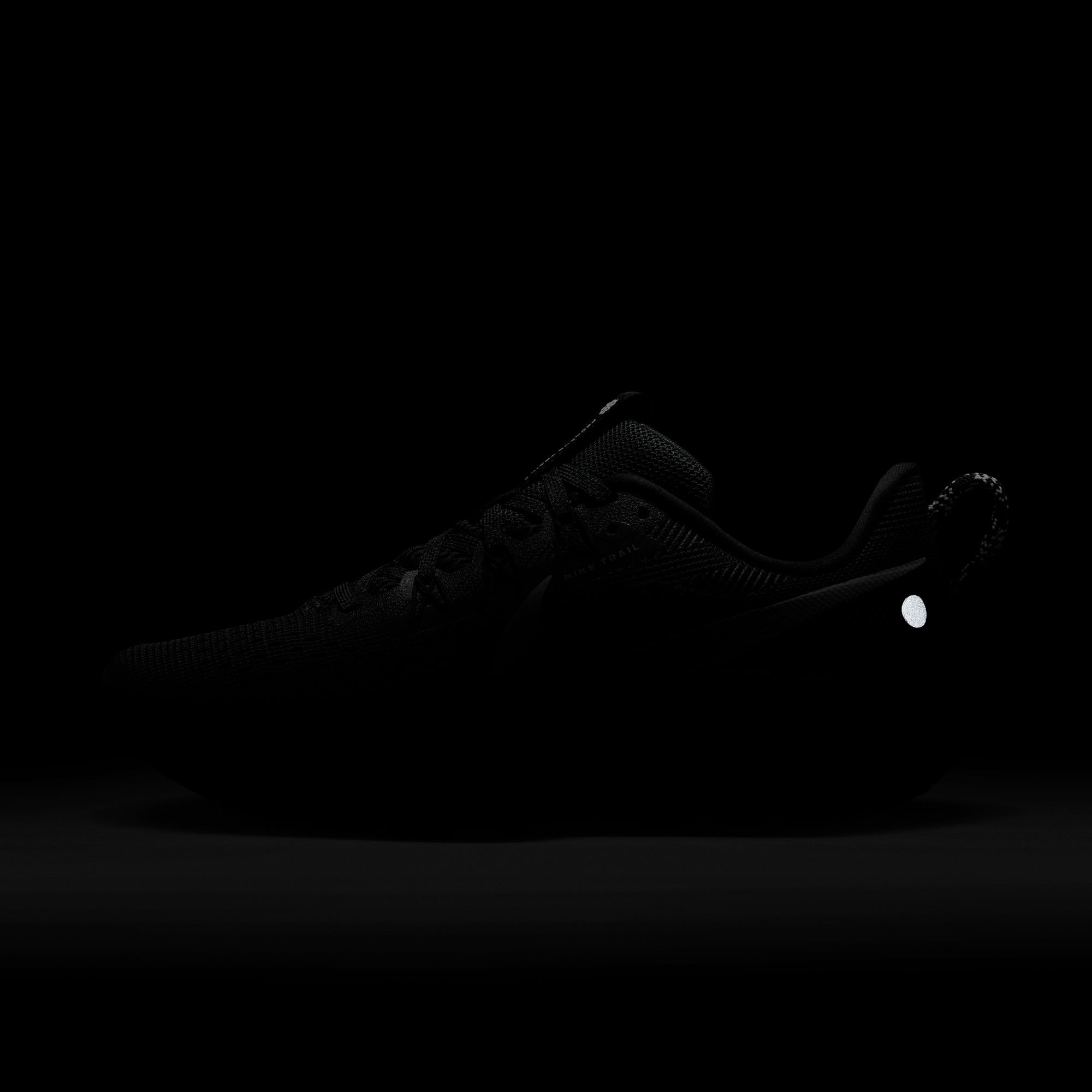Nike Trailrunningschuh »W REACTX PEGASUS TRAIL 5«