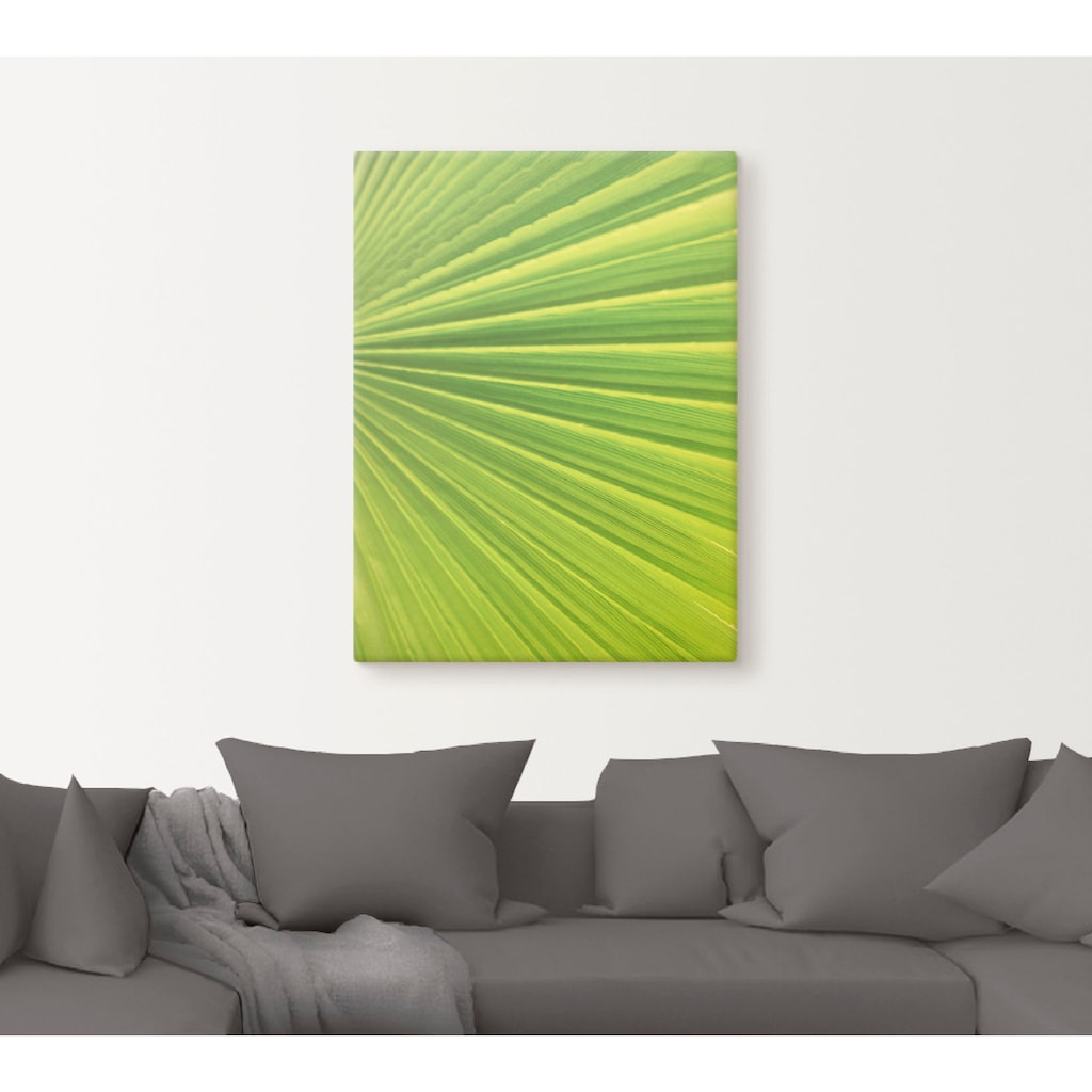 Artland Leinwandbild »Palmenblätter«, Blätter, (1 St.)