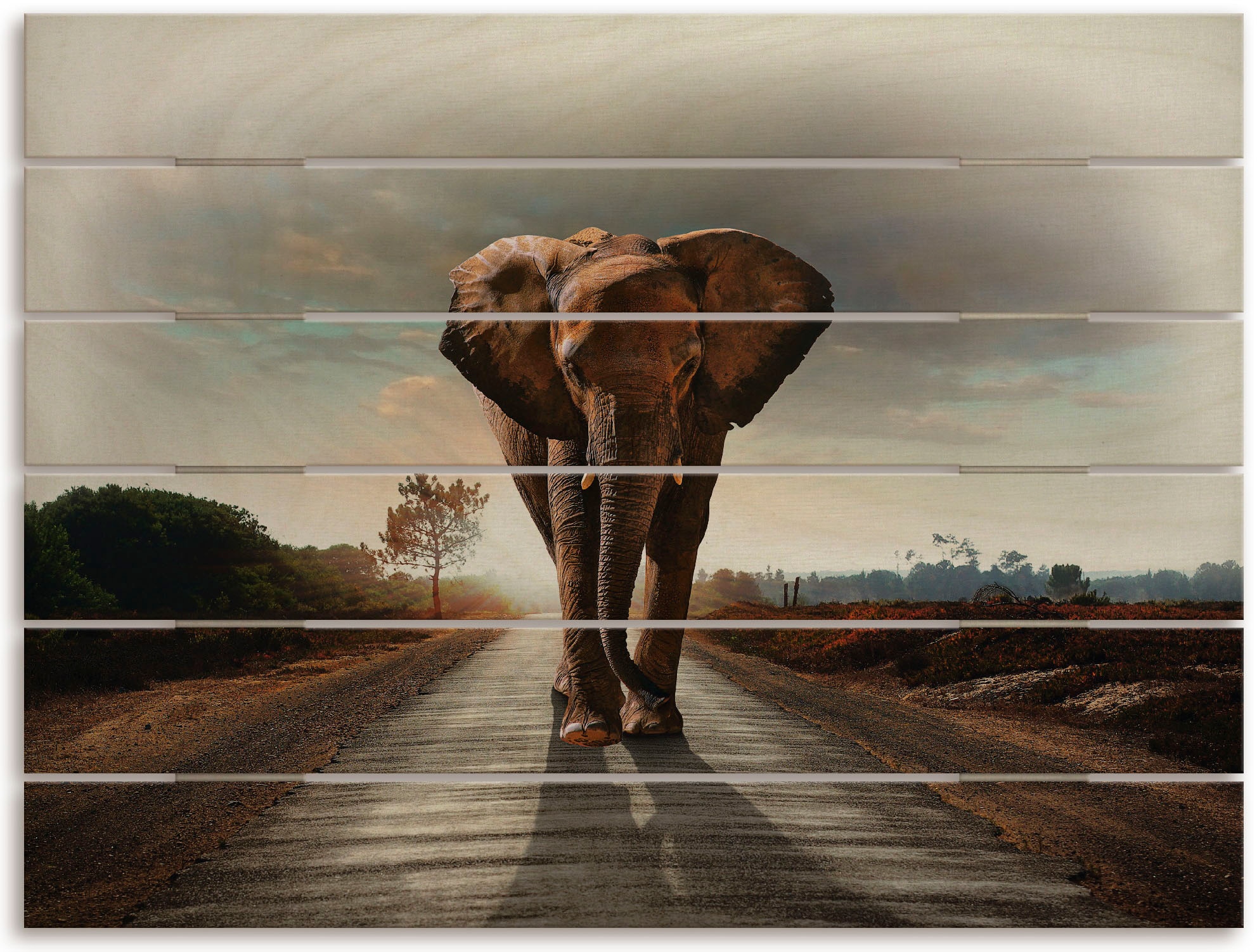 (1 auf BAUR St.) Elefanten Bilder, kaufen läuft | Elefant Straße«, »Ein Holzbild der Artland