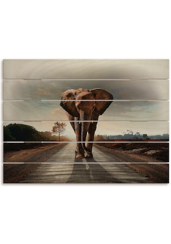 Artland Holzbild »Ein Elefant läuft ant der St...