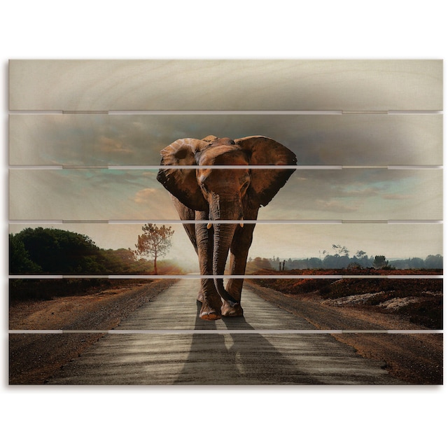 der kaufen Straße«, BAUR Elefanten Bilder, Artland | Elefant läuft Holzbild (1 auf St.) »Ein