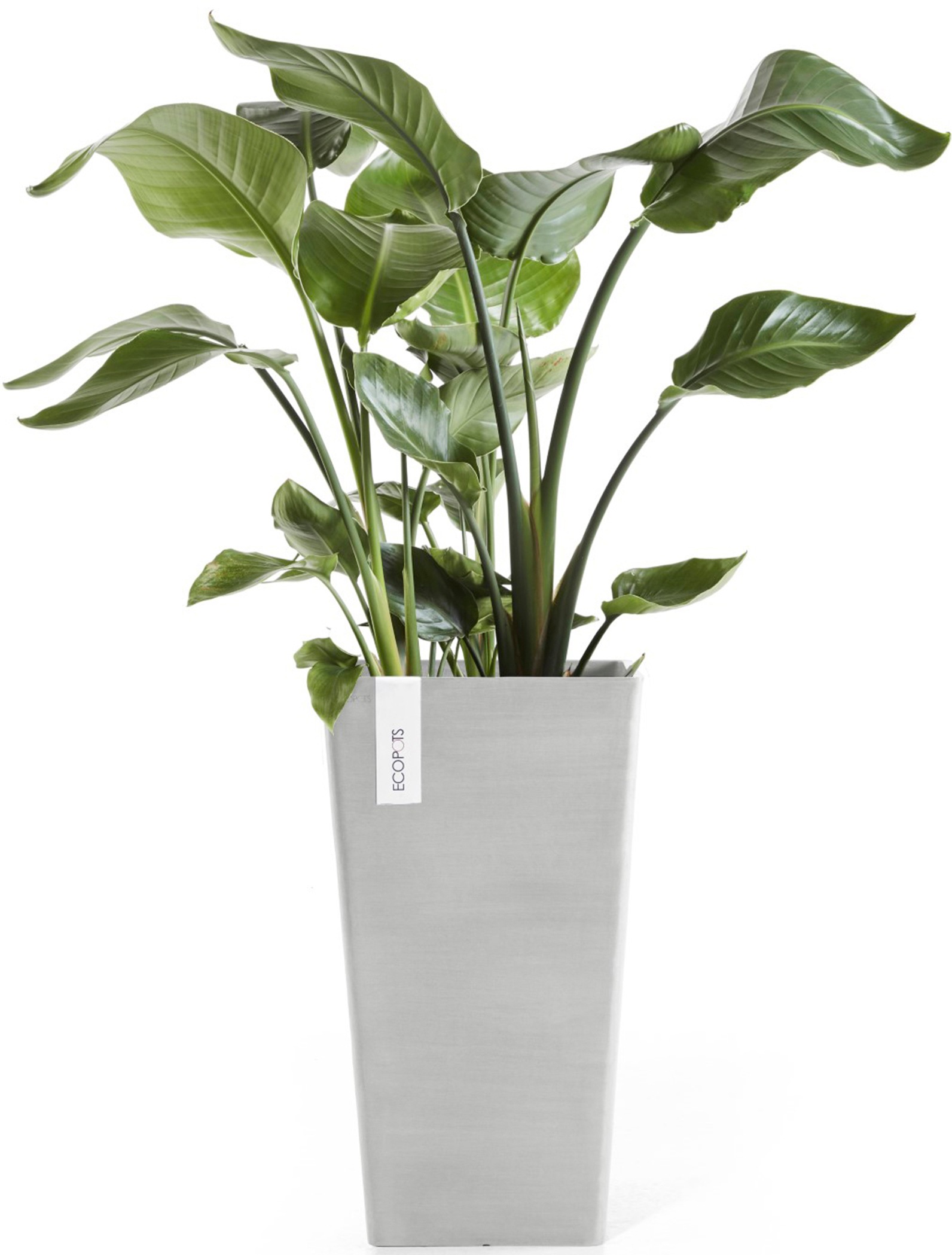 ECOPOTS Blumentopf »Rotterdam halbhoch 56 Weißgrau«, für innen und außen: frostsicher, bruchsicher und lichtbeständig