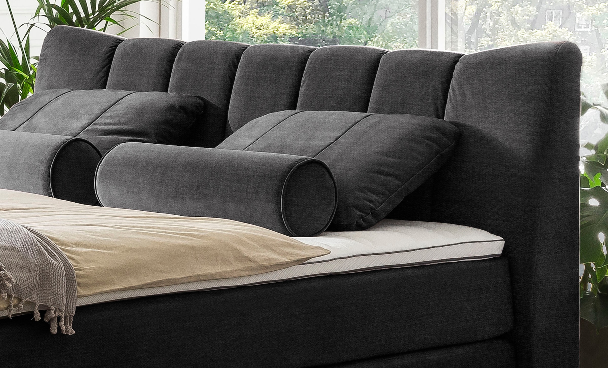 Home affaire Dekokissen "Océane" passend zum Bett Oceáne in Samtvelours und günstig online kaufen