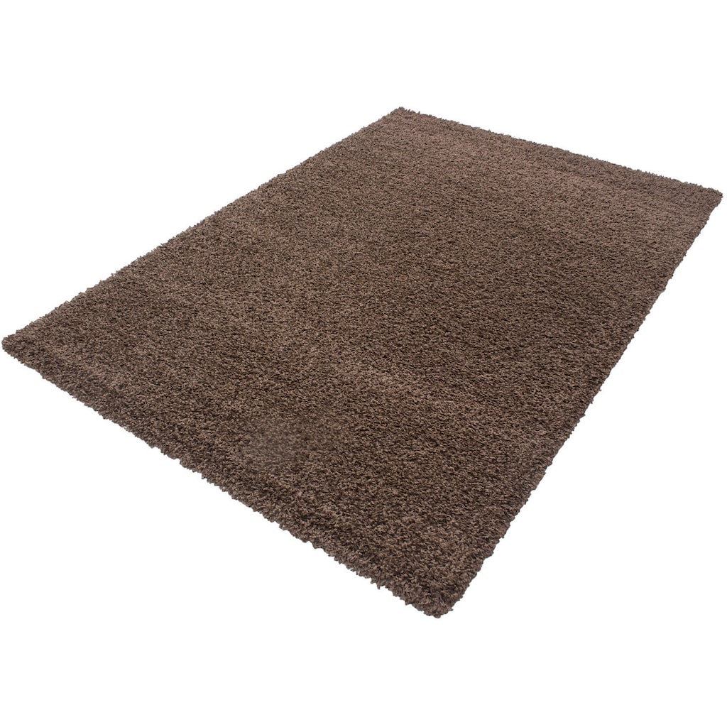 Ayyildiz Teppiche Hochflor-Teppich »Life Shaggy 1500«, rechteckig