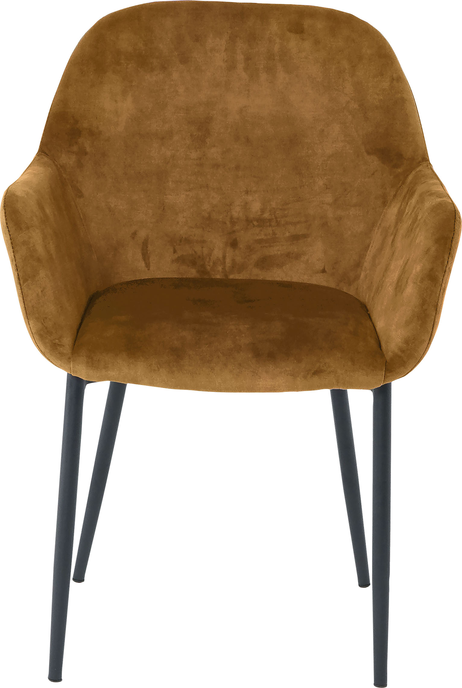 Thumbnail - SIT Armlehnstuhl (Set) 2 Stk.glamouröser Bezug in Samtoptik