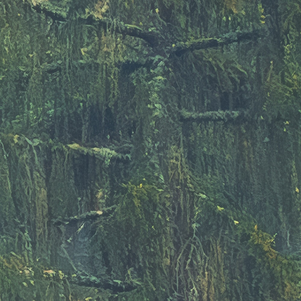 Komar Fototapete »Vlies Fototapete - Foggy Firs - Größe 400 x 250 cm« Motiv | bedruckt glatt