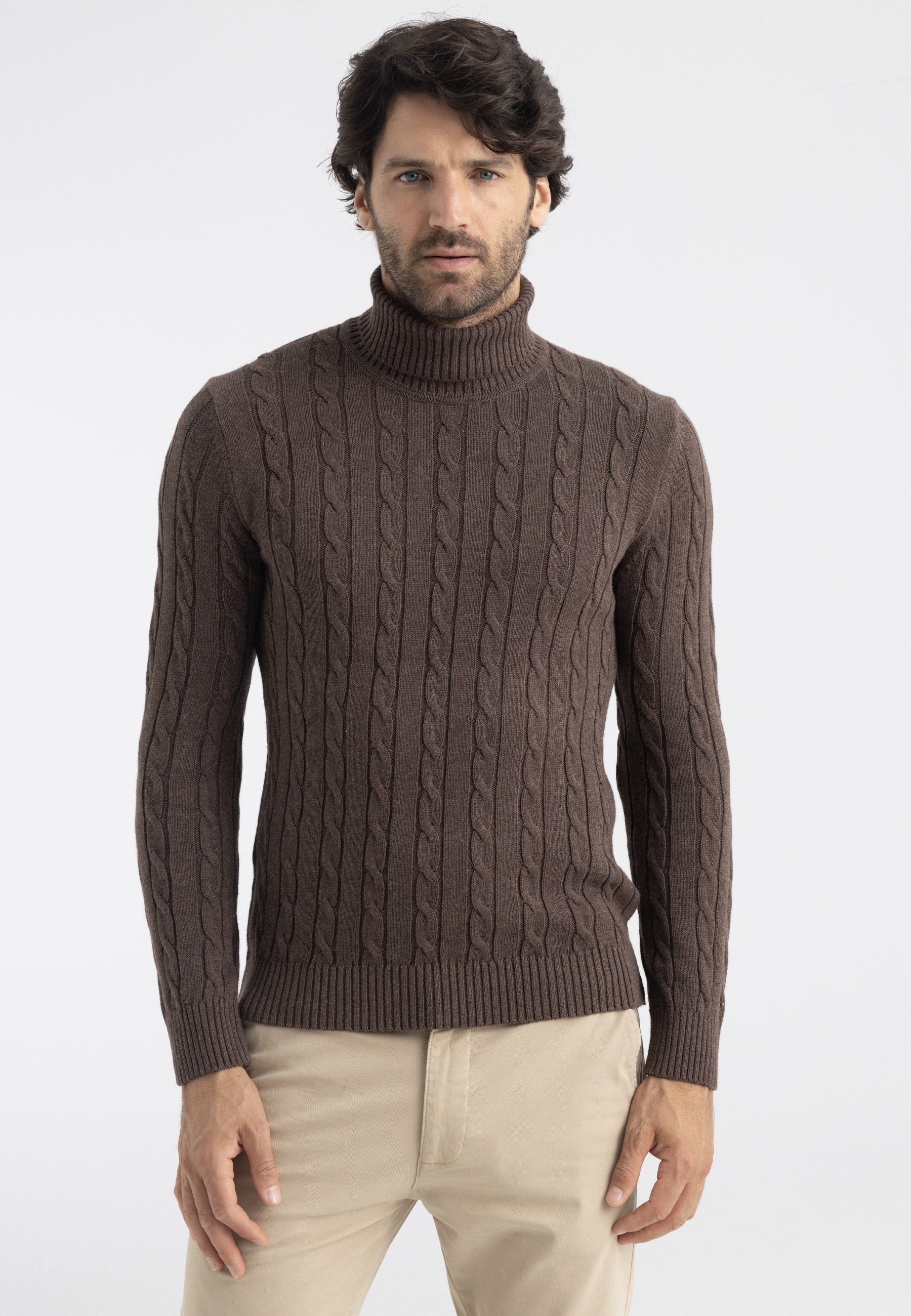 Felix Hardy Rollkragenpullover »Rollkragenpullover mit Zopfmuster«