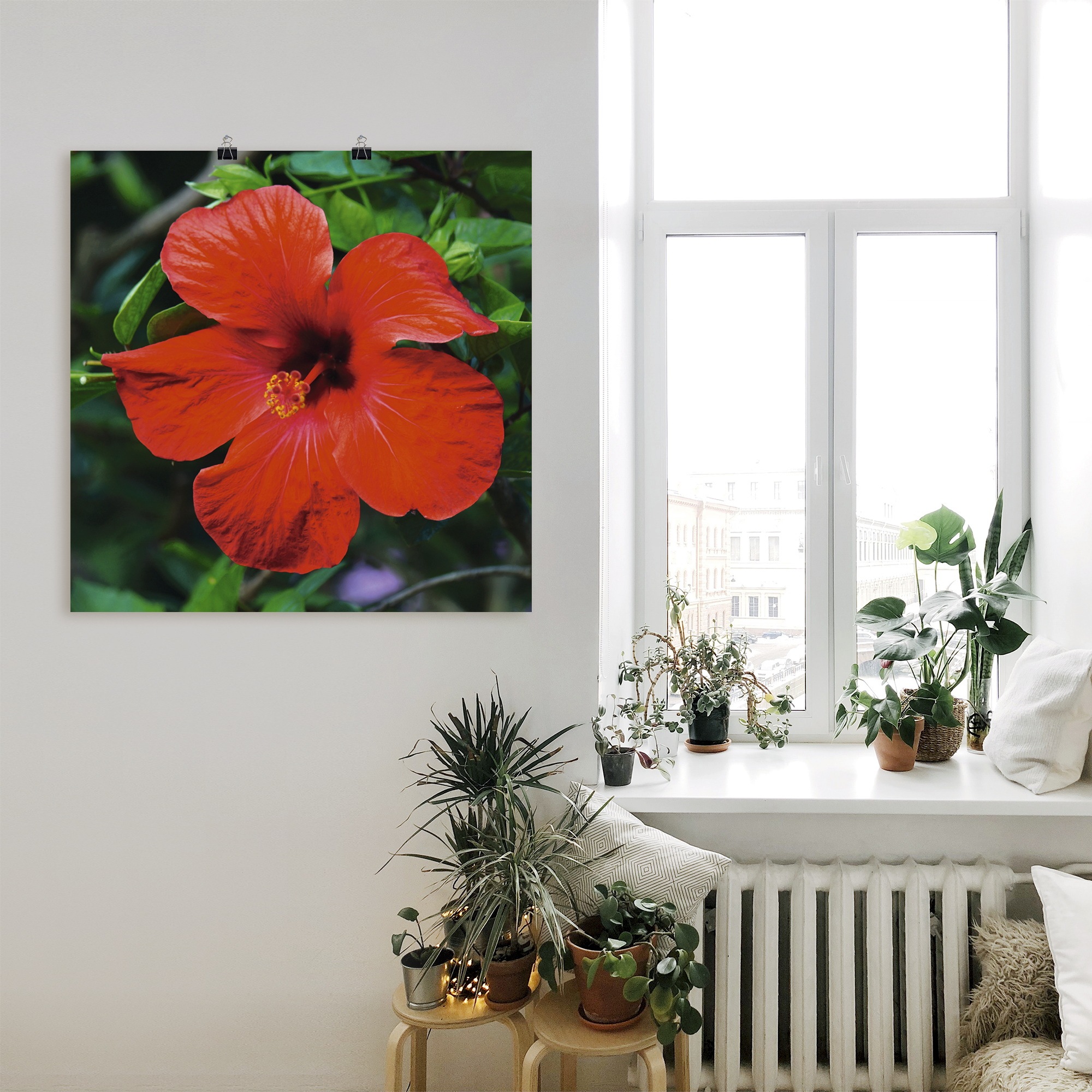 Artland Wandbild »Hawaiiblume«, Blumen, (1 St.), als Alubild, Leinwandbild, Wandaufkleber oder Poster in versch. Größen