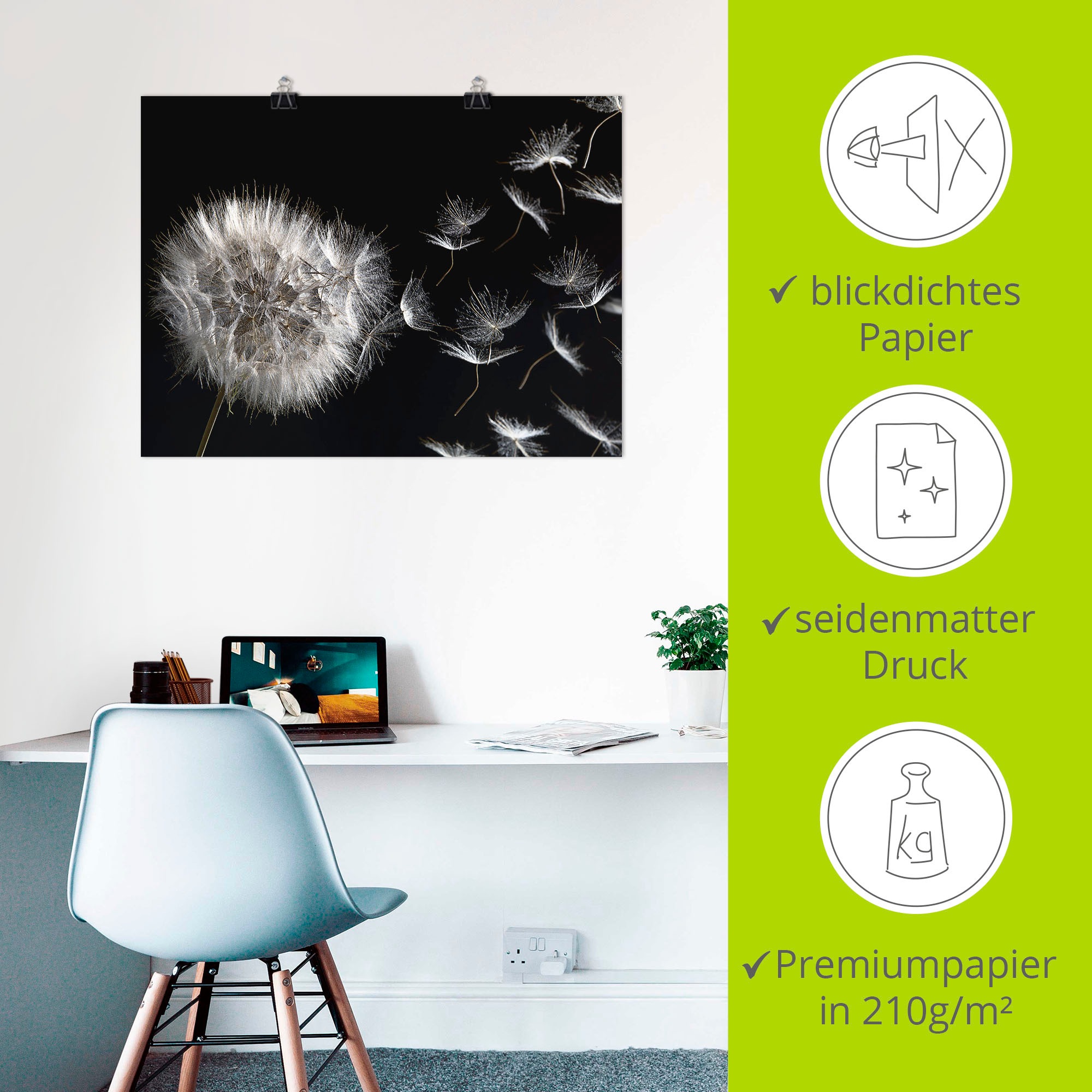 Artland Wandbild »Pusteblume«, Blumenbilder, (1 St.), als Alubild, Outdoorbild, Leinwandbild, Poster, Wandaufkleber