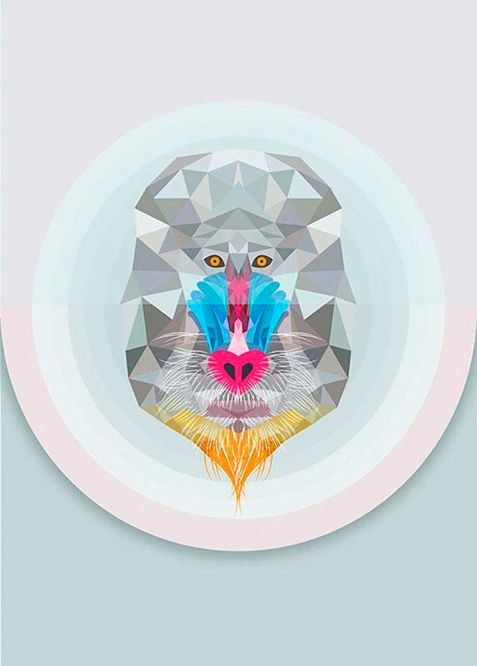 Komar Bild »Baboon«, Tiere, (1 St.), Wandbild zur Dekoration - ohne Rahmen