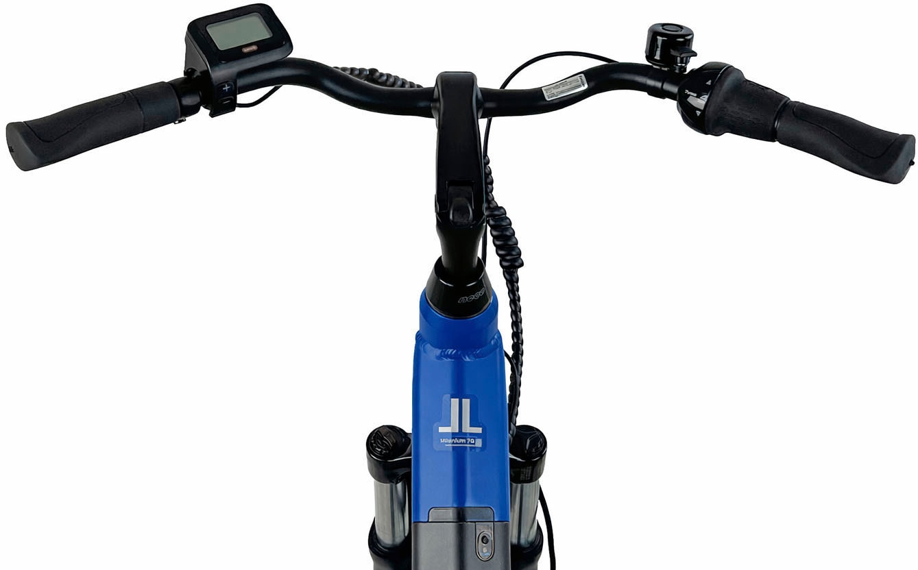 LLobe »City E-Bike 28" Millenium 7G« 7 Gang Nabenschaltung Frontmotor 250 W