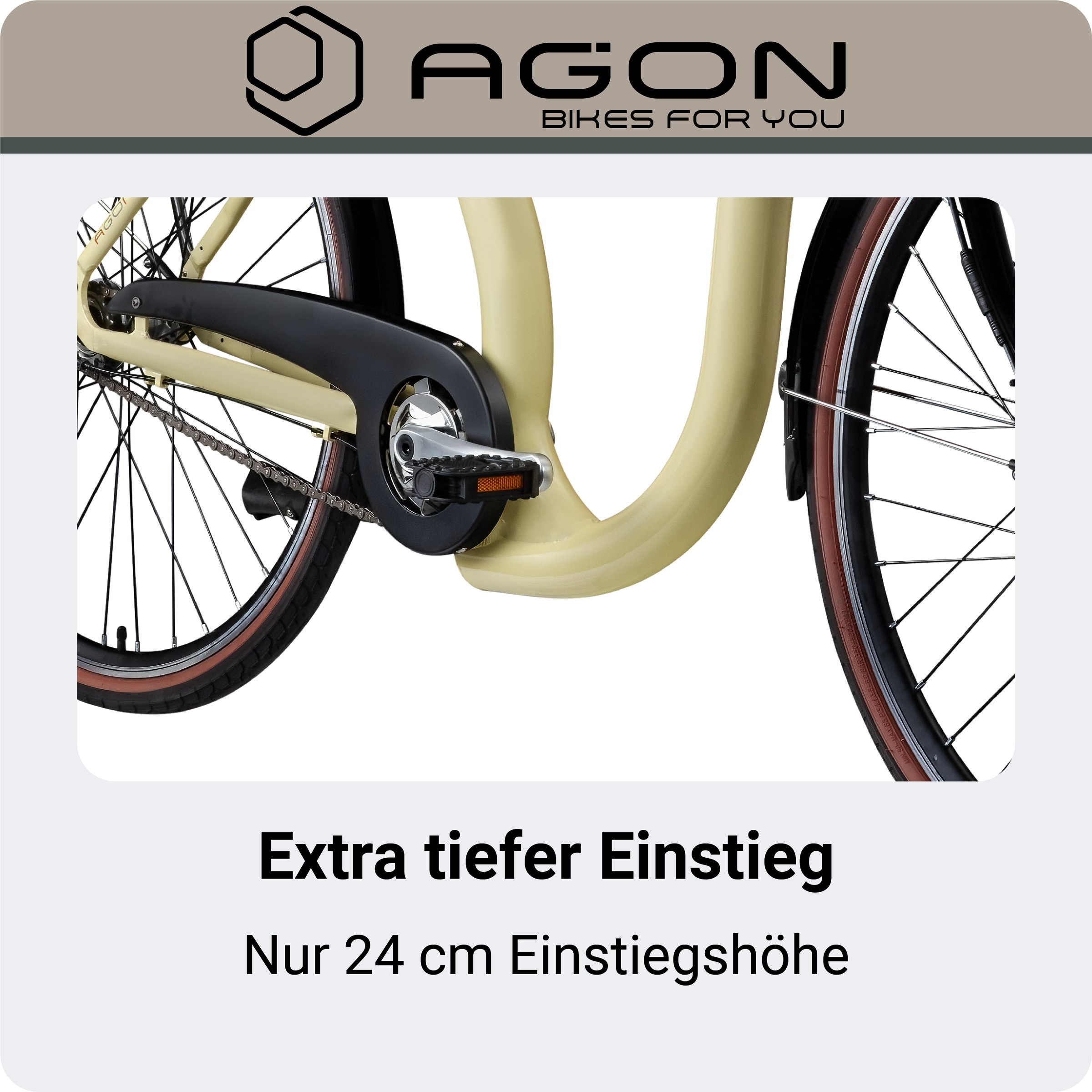 AGON »Assist« 3 Gang Nabenschaltung Frontmotor 250 W