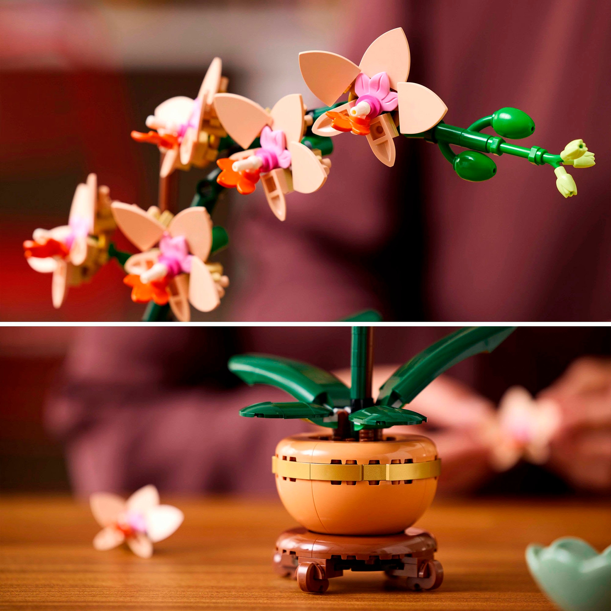 LEGO® Konstruktionsspielsteine »Mini-Orchidee (10343), LEGO Botanicals«, (274 St.), Made in Europe