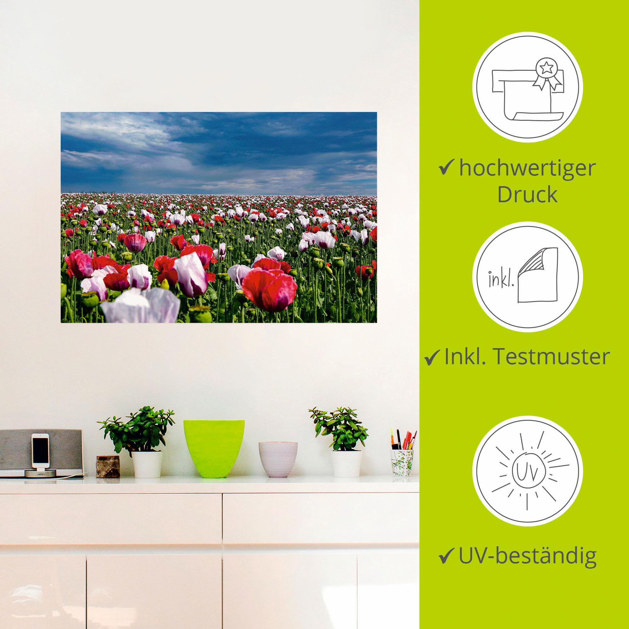 Artland Wandbild »Blühende Mohnblumen«, Blumenwiese, (1 St.), als Alubild,  Leinwandbild, Wandaufkleber oder Poster in versch. Größen bestellen | BAUR