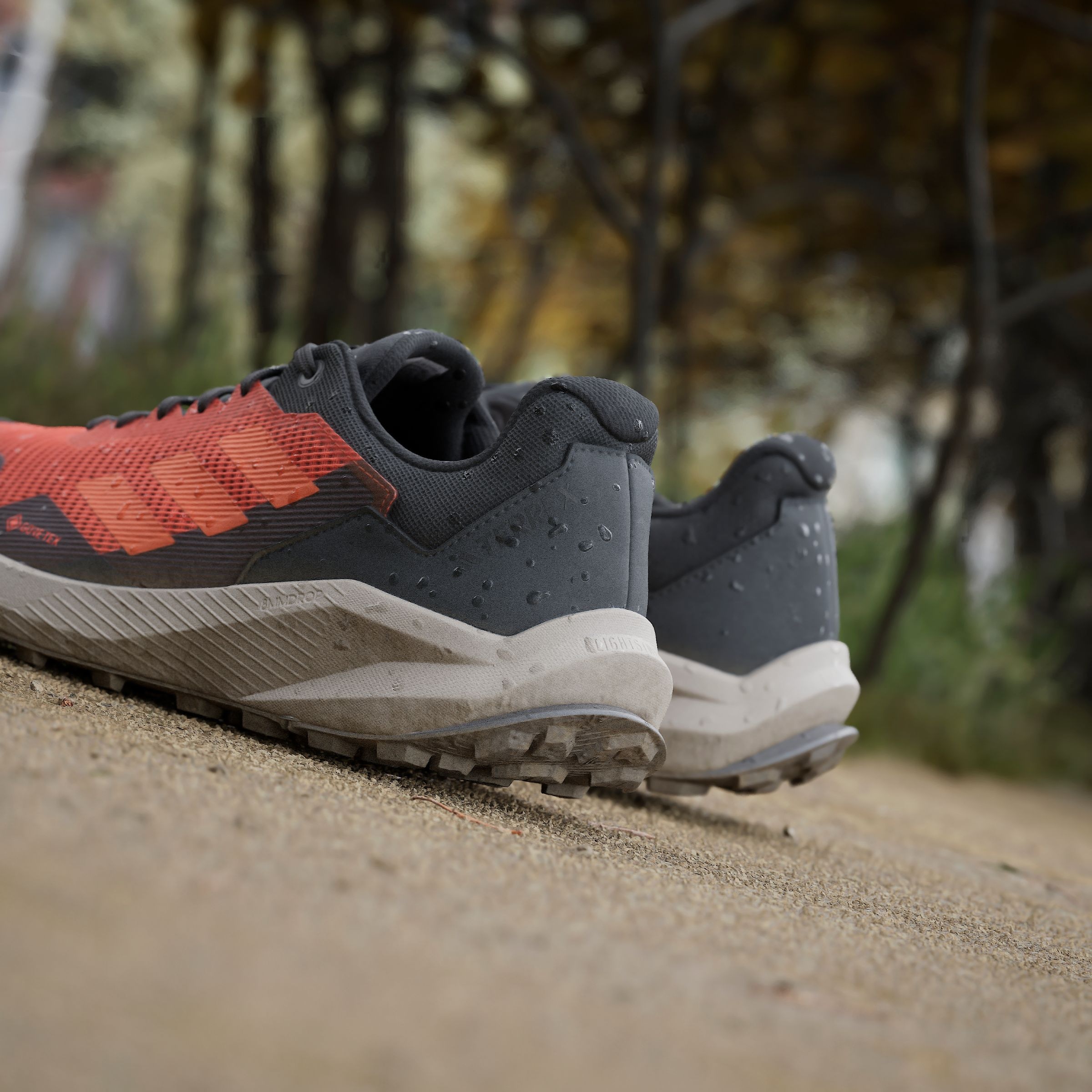 adidas TERREX Trailrunningschuh »TRAIL RIDER GORE-TEX TRAILRUNNING«, wasserdicht