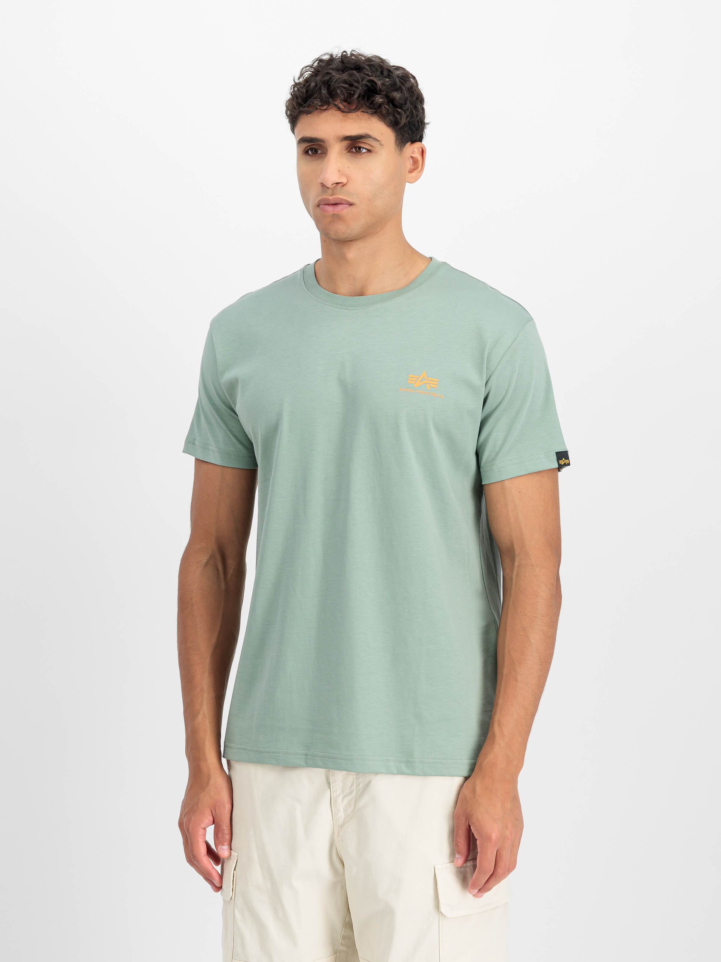 Alpha Industries Rundhalsshirt "BASIC T SMALL LOGO" Baumwolle, regular fit günstig online kaufen