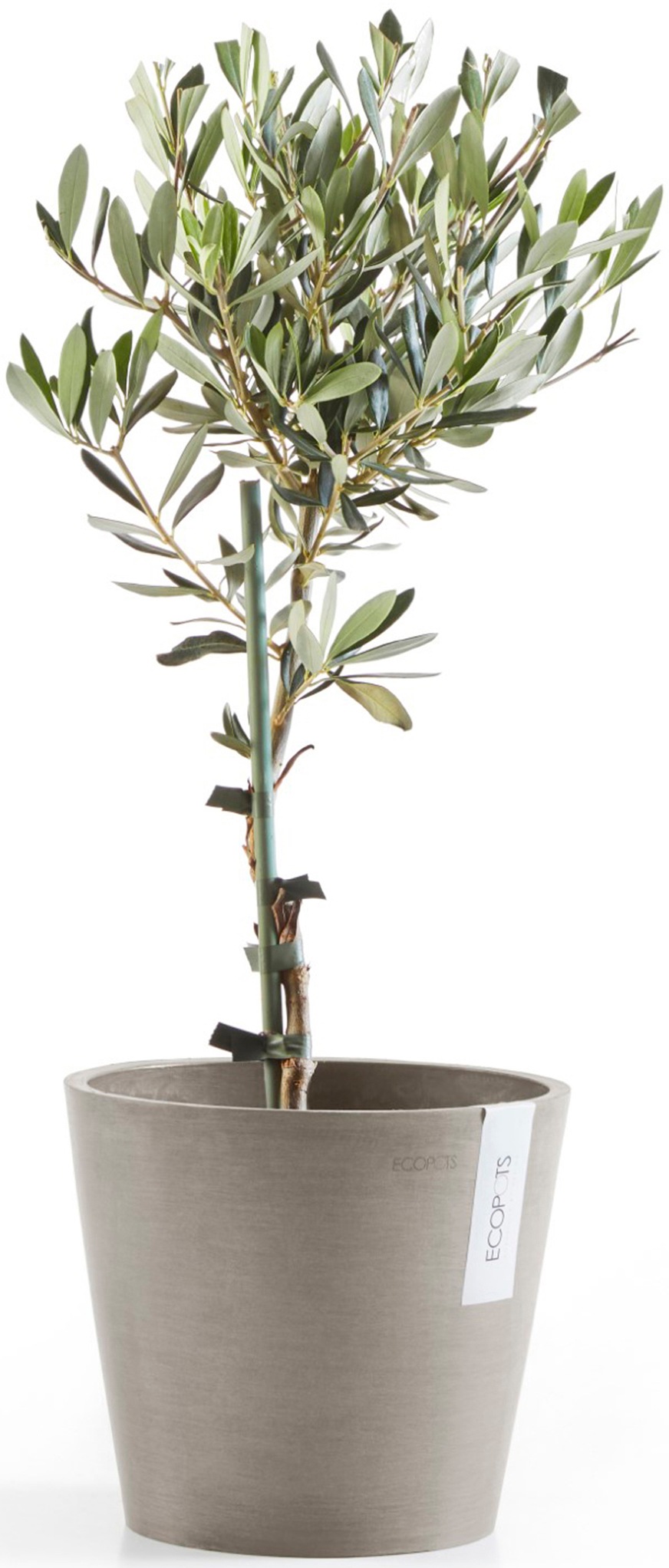 ECOPOTS Blumentopf »Amsterdam 20 + Wassersystem Taupe«, für innen und außen: frostsicher, bruchsicher und lichtbeständig