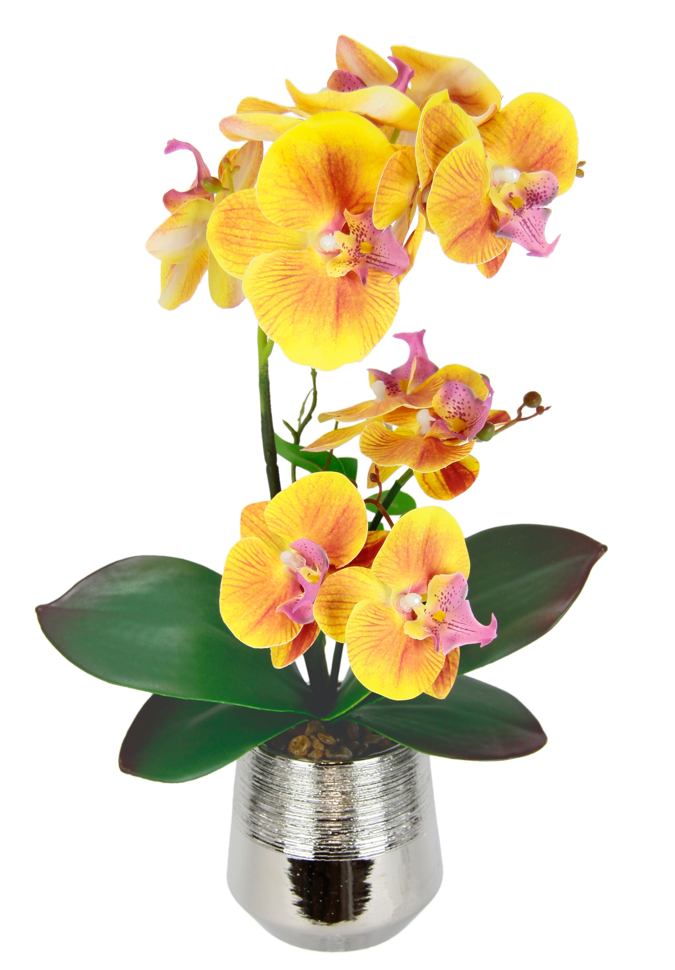 I.GE.A. Kunstorchidee "Phalaenopsis Orchidee im Topf", Kunstblume mit Blätt günstig online kaufen