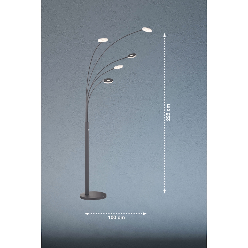 FISCHER & HONSEL LED Bogenlampe »Dent«