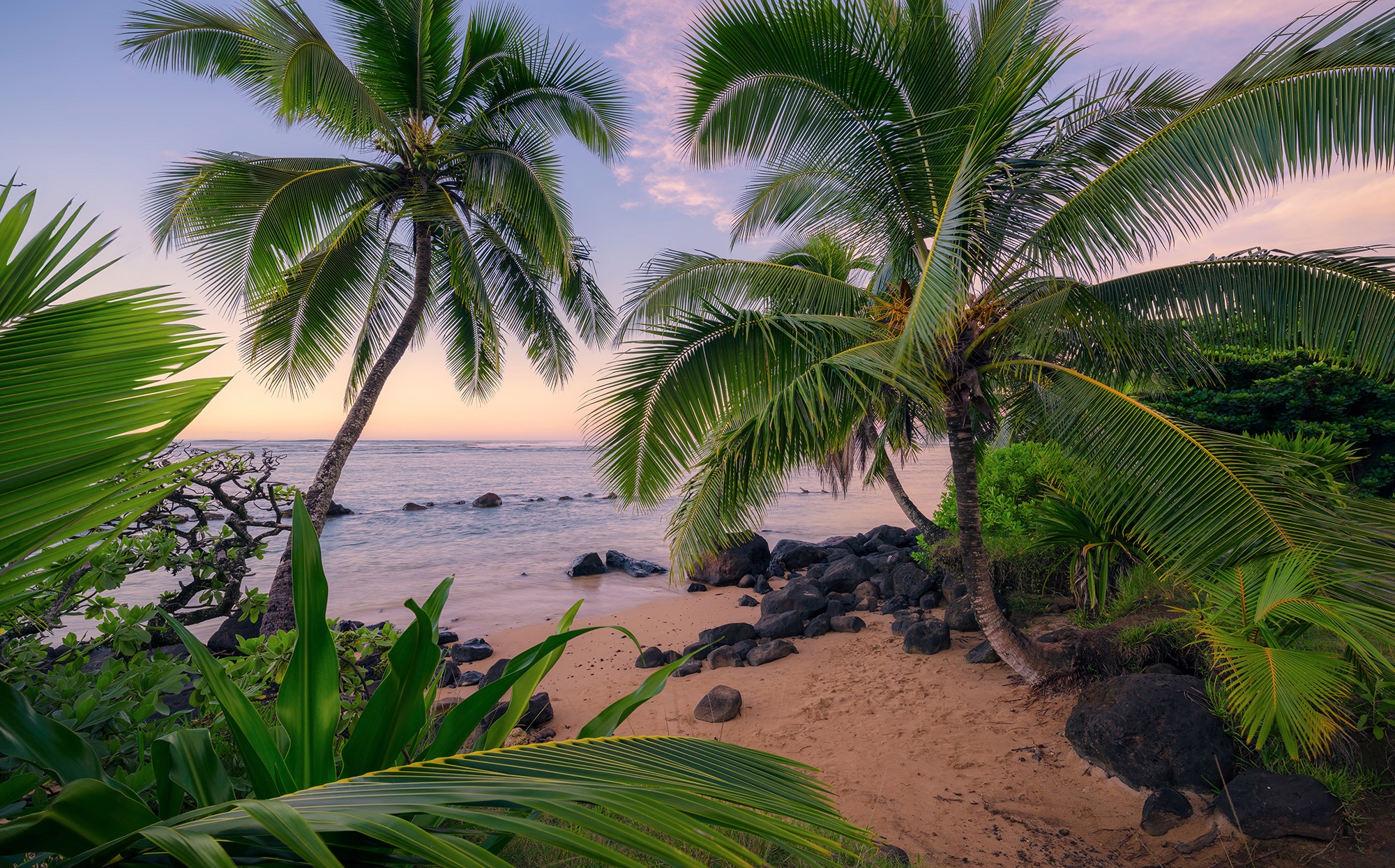 Komar Vliestapete "Hawaiian Dreams", 450x280 cm (Breite x Höhe), Wohnzimmer, Schlafzimmer