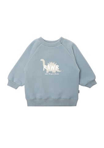 Sweatshirt »Dino Rawr«