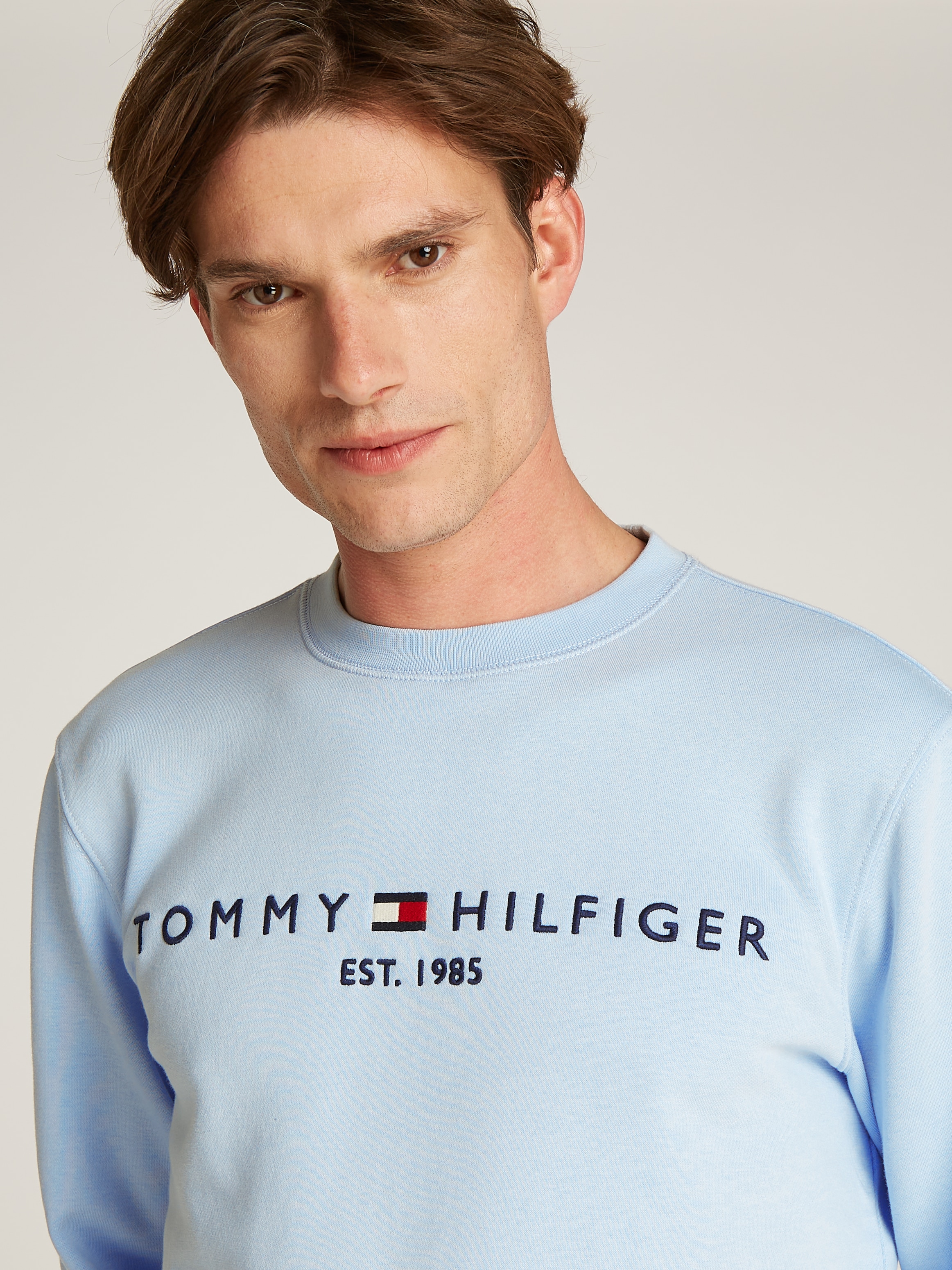 Tommy Hilfiger Sweatshirt »TOMMY LOGO SWEATSHIRT«, mit klassischem Rundhalsausschnitt
