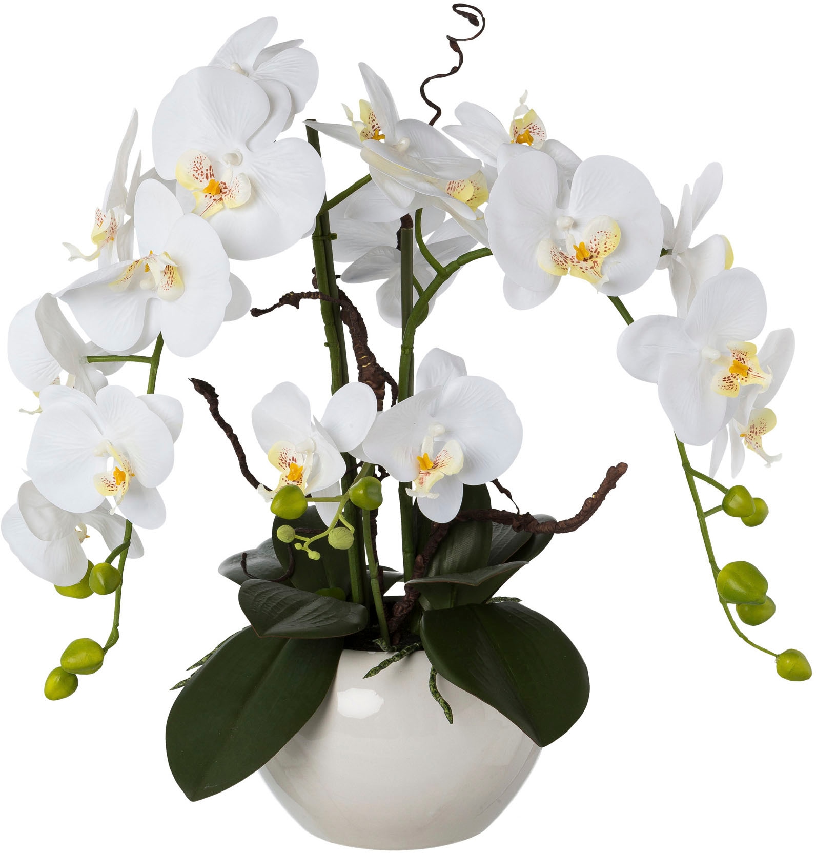 Creativ green Kunstorchidee »Phalaenopsis« im Kerami...