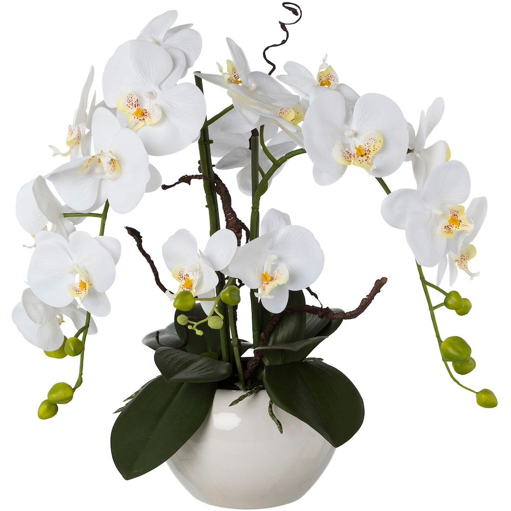 Creativ green Kunstorchidee »Phalaenopsis«