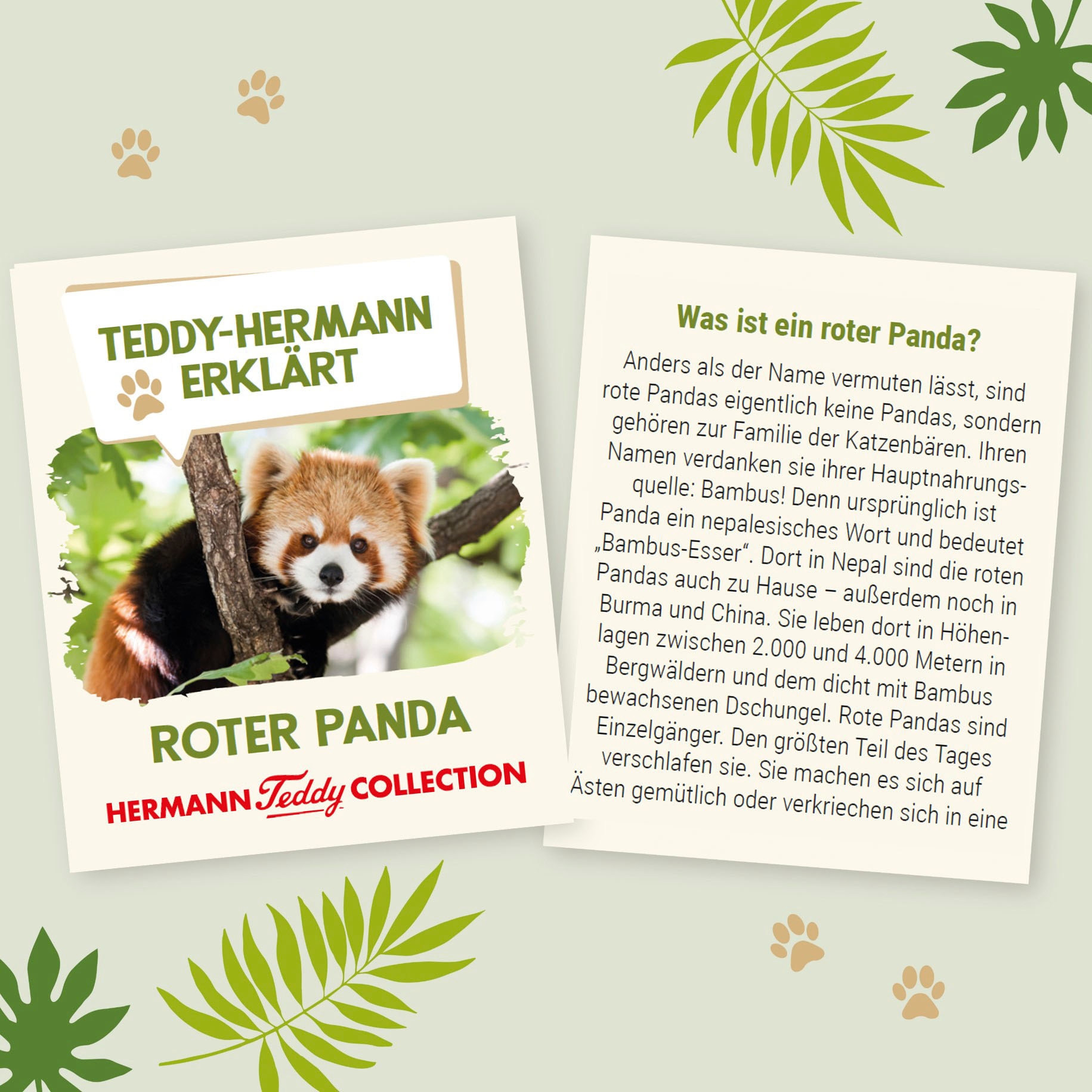 Teddy Hermann® Kuscheltier »Roter Panda, 30 cm«, zum Teil aus recyceltem Material