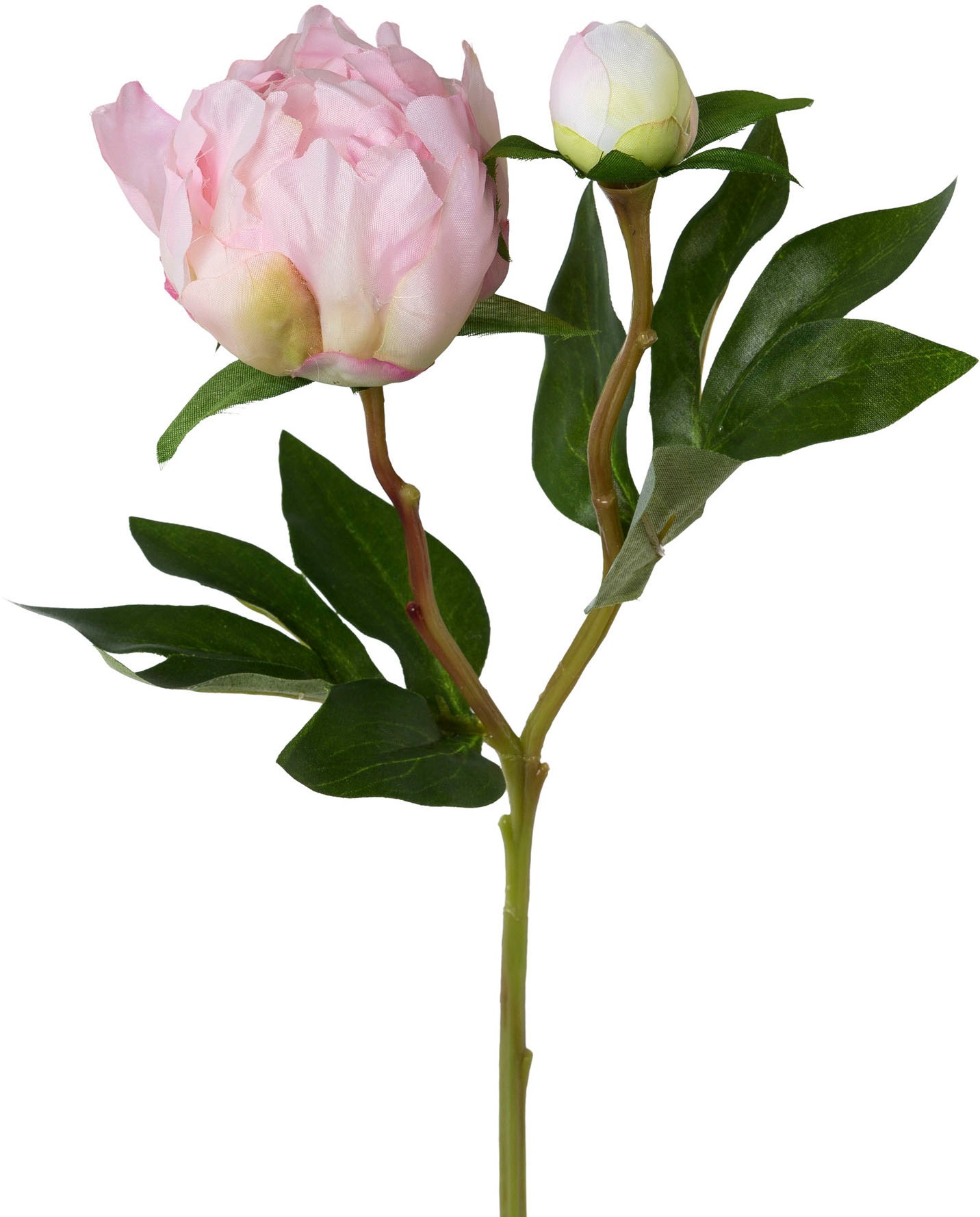 Creativ green Kunstblume "Peonie" günstig online kaufen