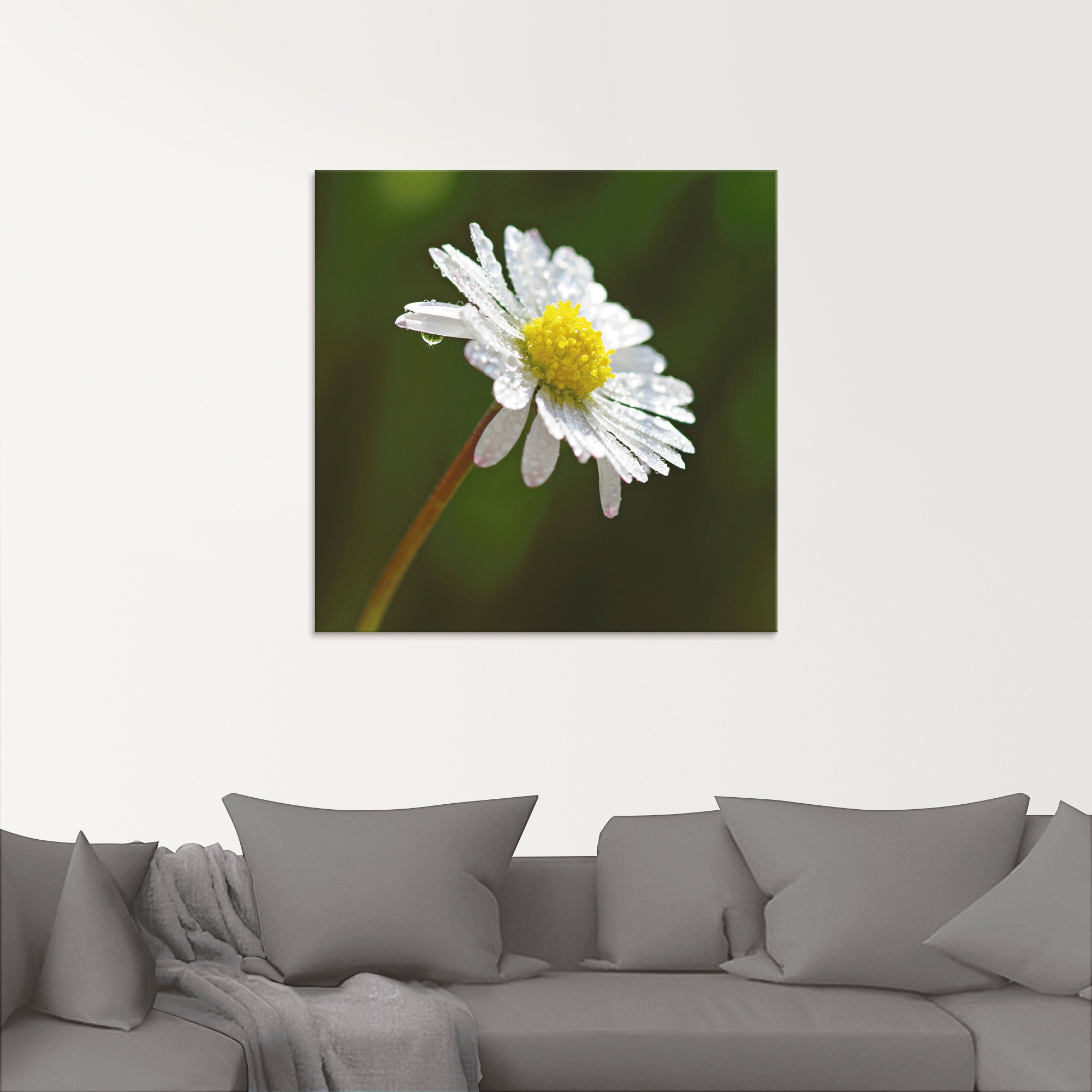 Artland Glasbild "Gänseblümchen", Blumen, (1 St.), in verschiedenen Größen günstig online kaufen