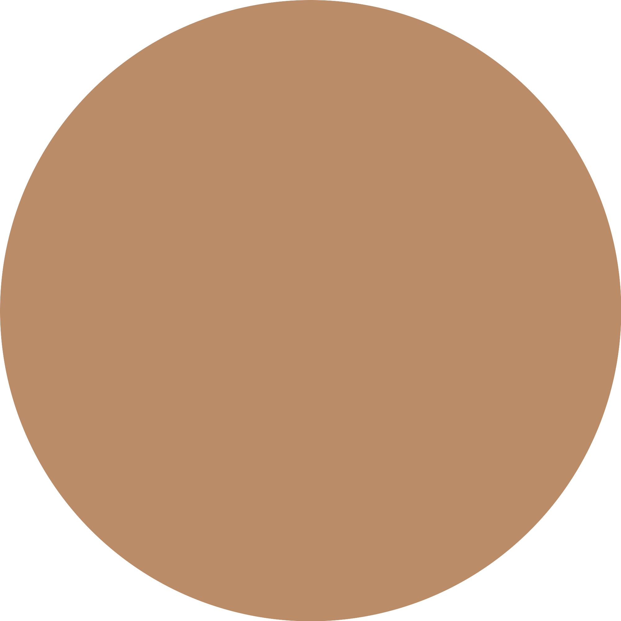 Catrice Foundation »Invisible Cover Cushion Foundation«