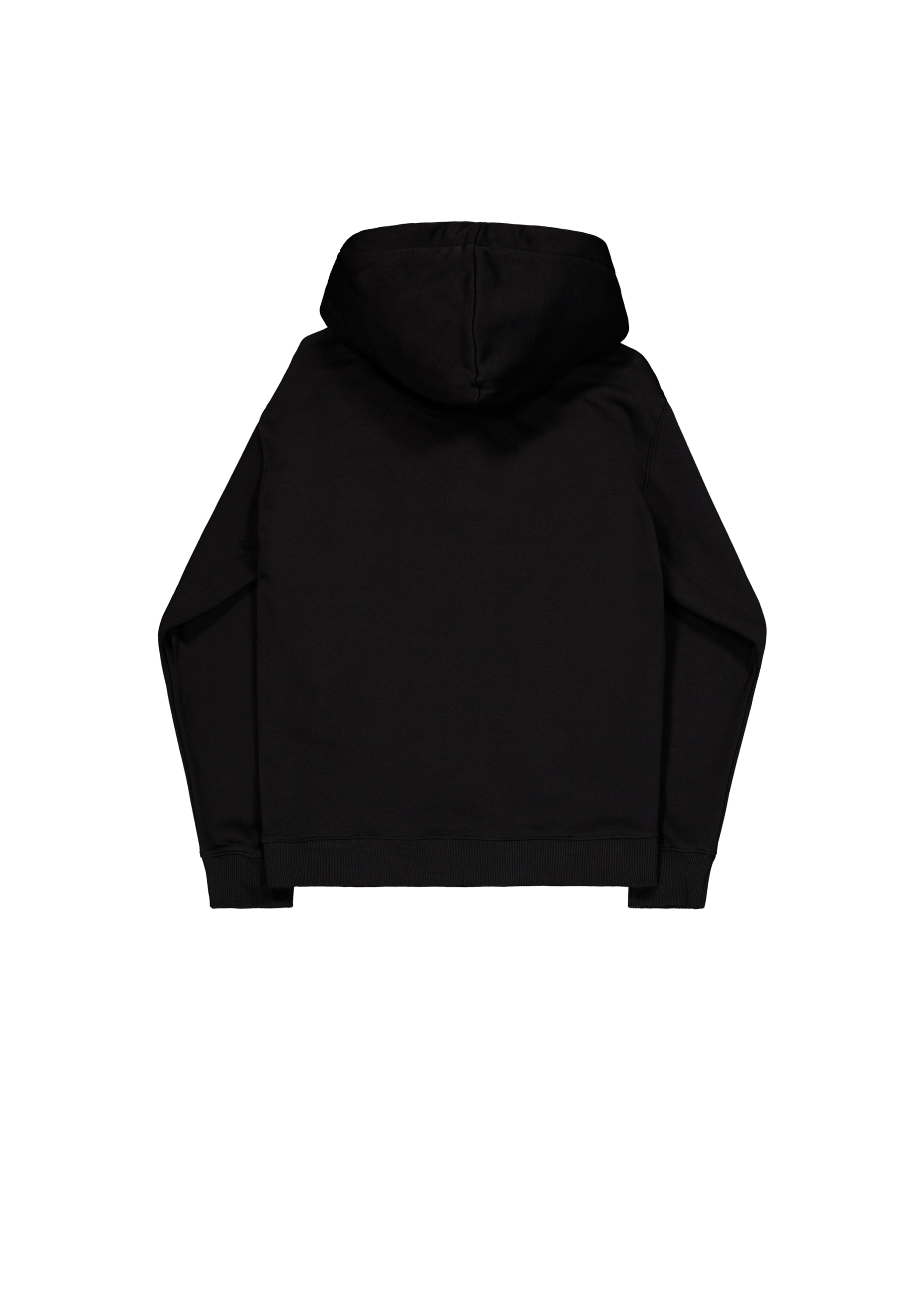 Alpha Industries Hoodie »Alpha Industries Men - Hoodies Basic Hoodie BL«