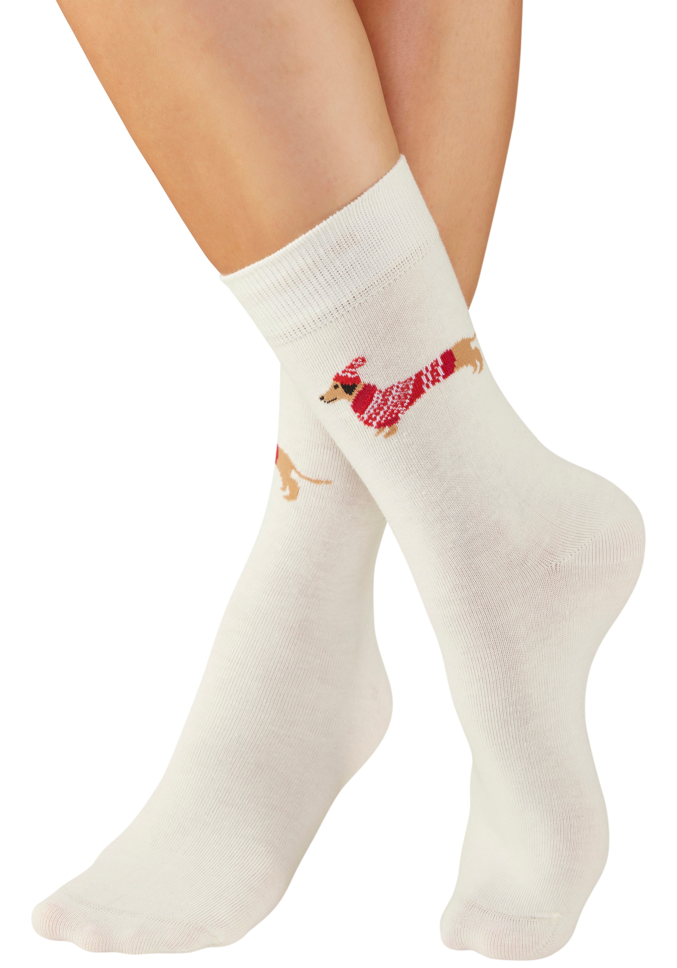 LASCANA Socken Packung, 3 Paar tlg. mit weihnachtlichem Dackelmotiv