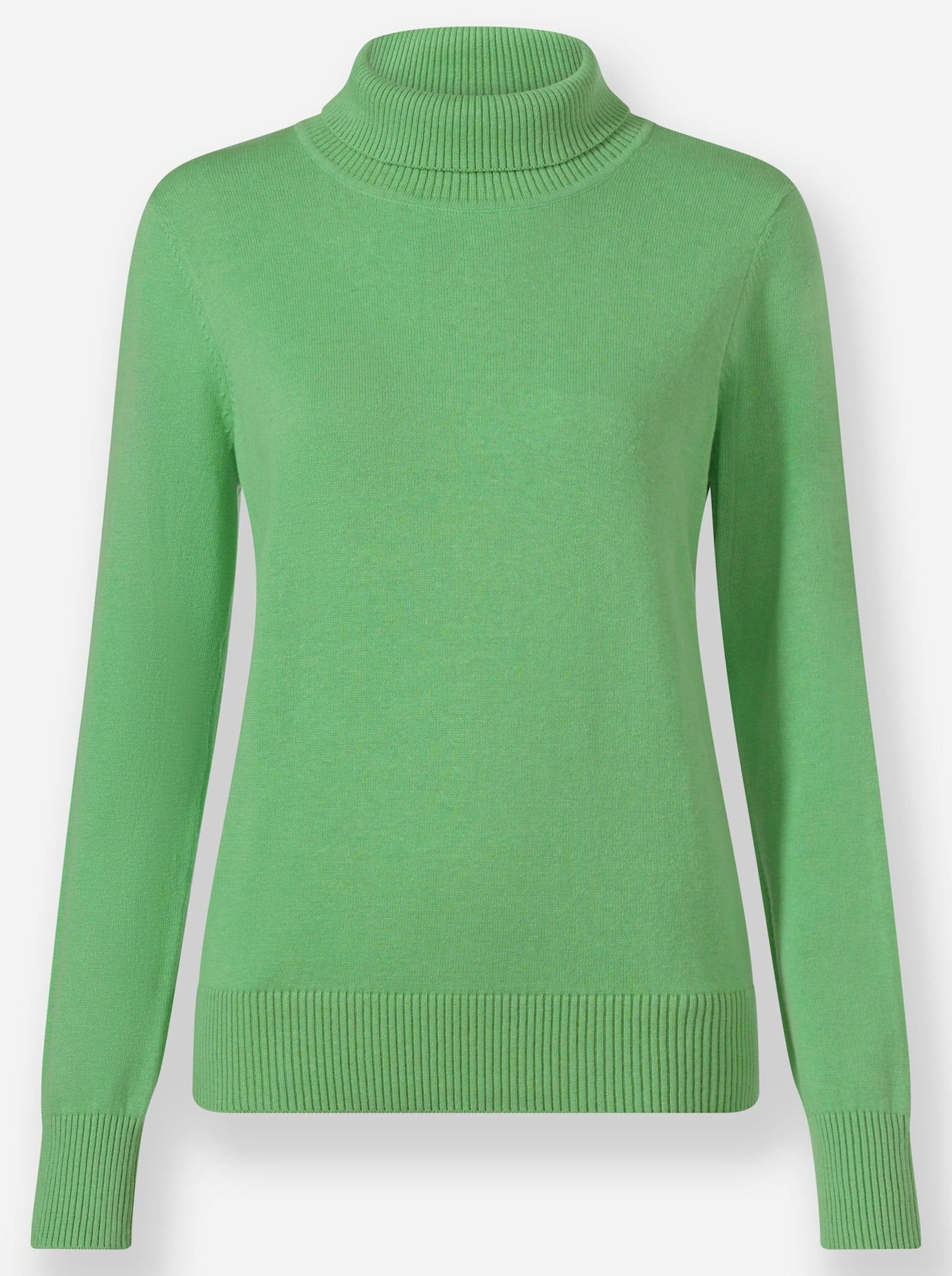 Casual Looks Rollkragenpullover »Pullover«
