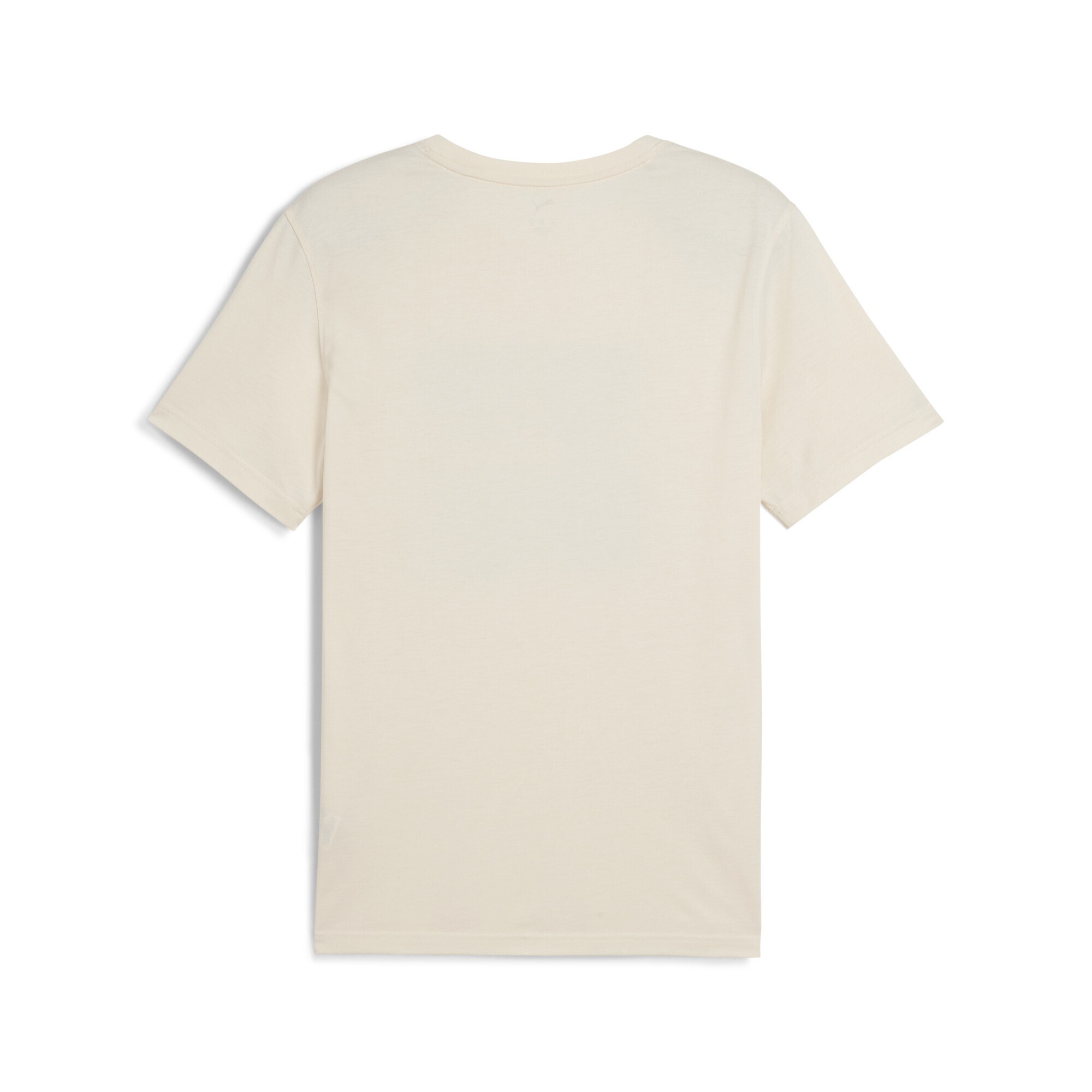 PUMA Laufshirt »GRAPHICS SEASONS Laufshirt Herren«