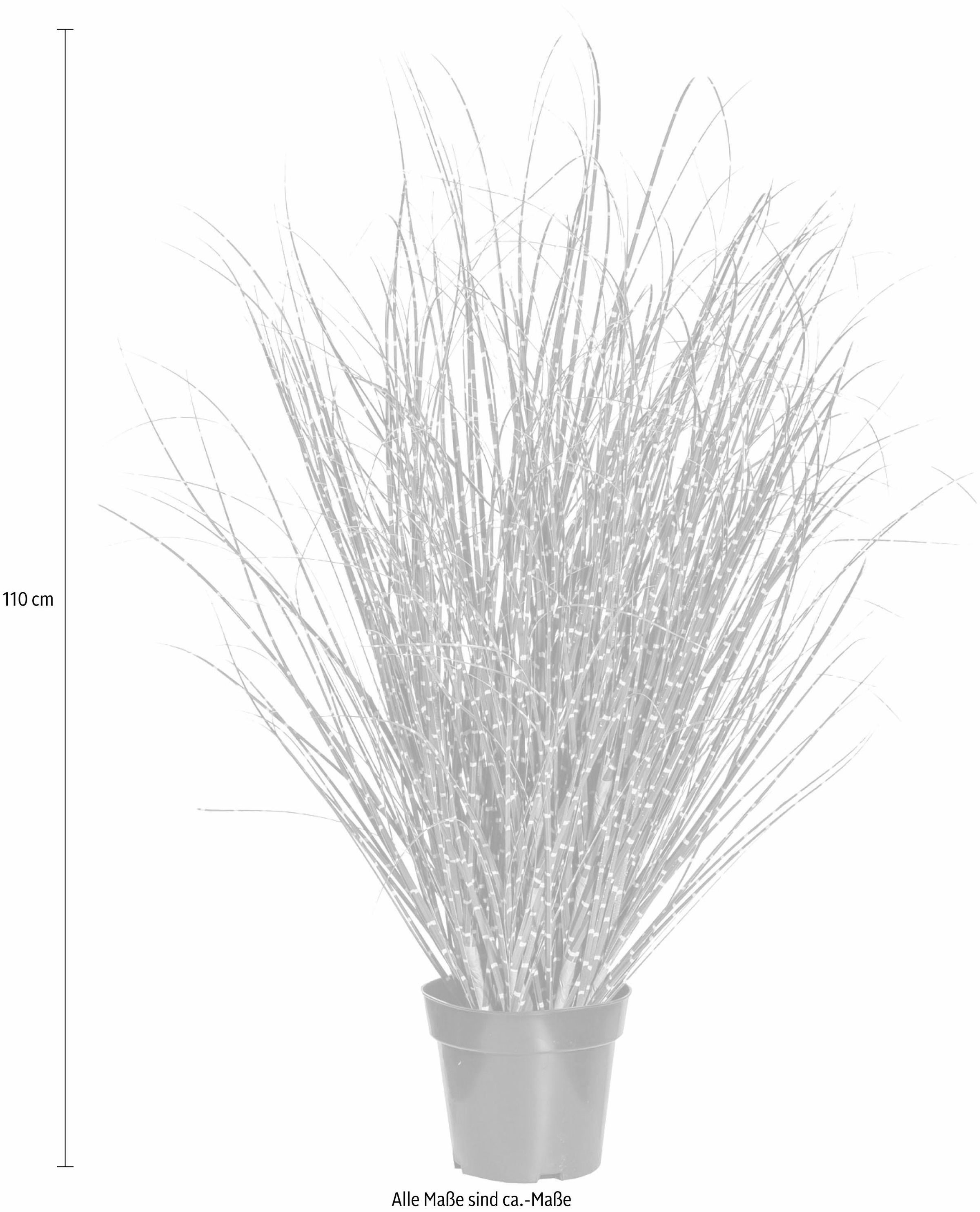 Creativ green Kunstgras "Miscanthus Zebrinus" günstig online kaufen