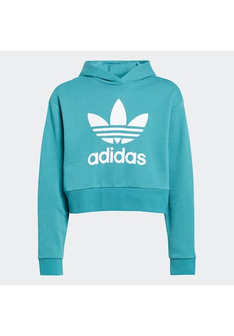 adidas Originals Sportinis megztinis su gobtuvu »ADICOL...