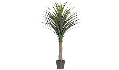 Creativ green Kunstpalme »Palme Yucca«, (1 St.), im Kunststofftopf kaufen