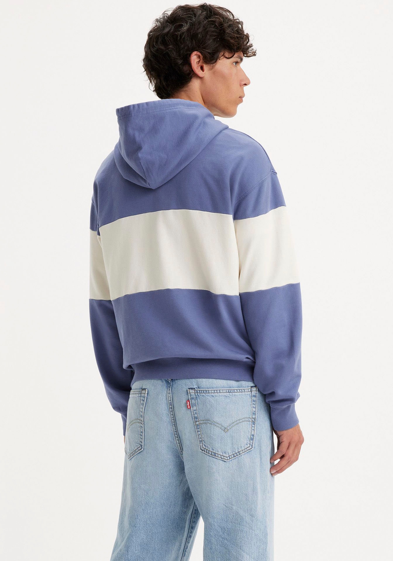 Levi's® Hoodie LEVIS FT BLOCKED HOODIE NEUTRALS günstig online kaufen