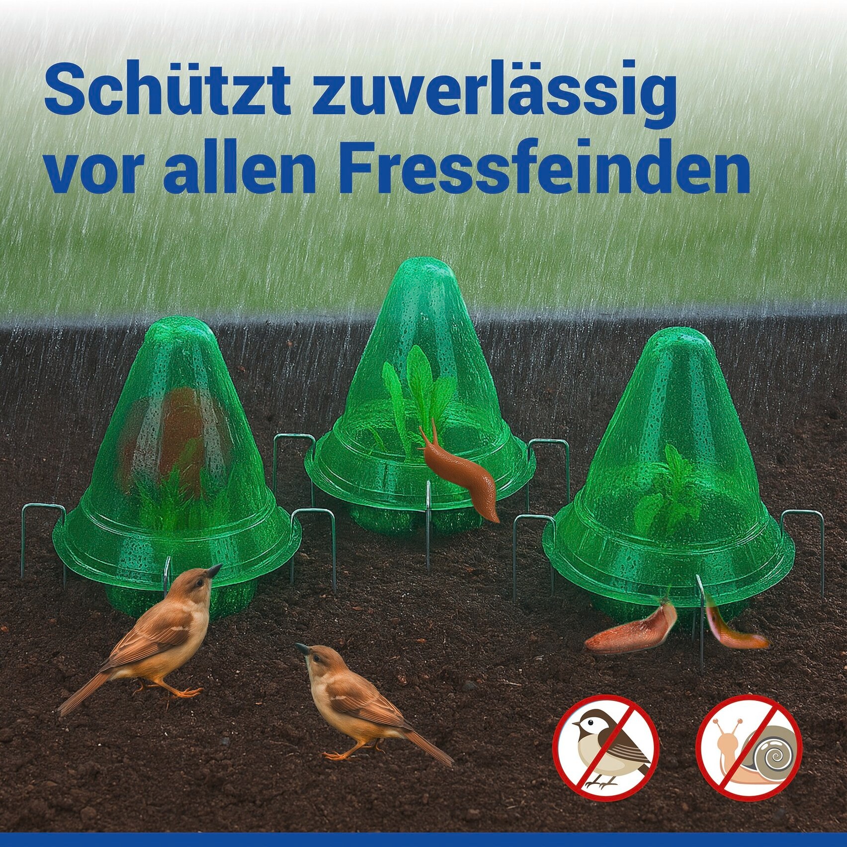 Maximex Pflanzenschutzdach »3 Stück Pflanzendom 3in1« Anzuchtglocke, Schneckenabwehr & Bewässerungsring, für Beet & Hochbeet