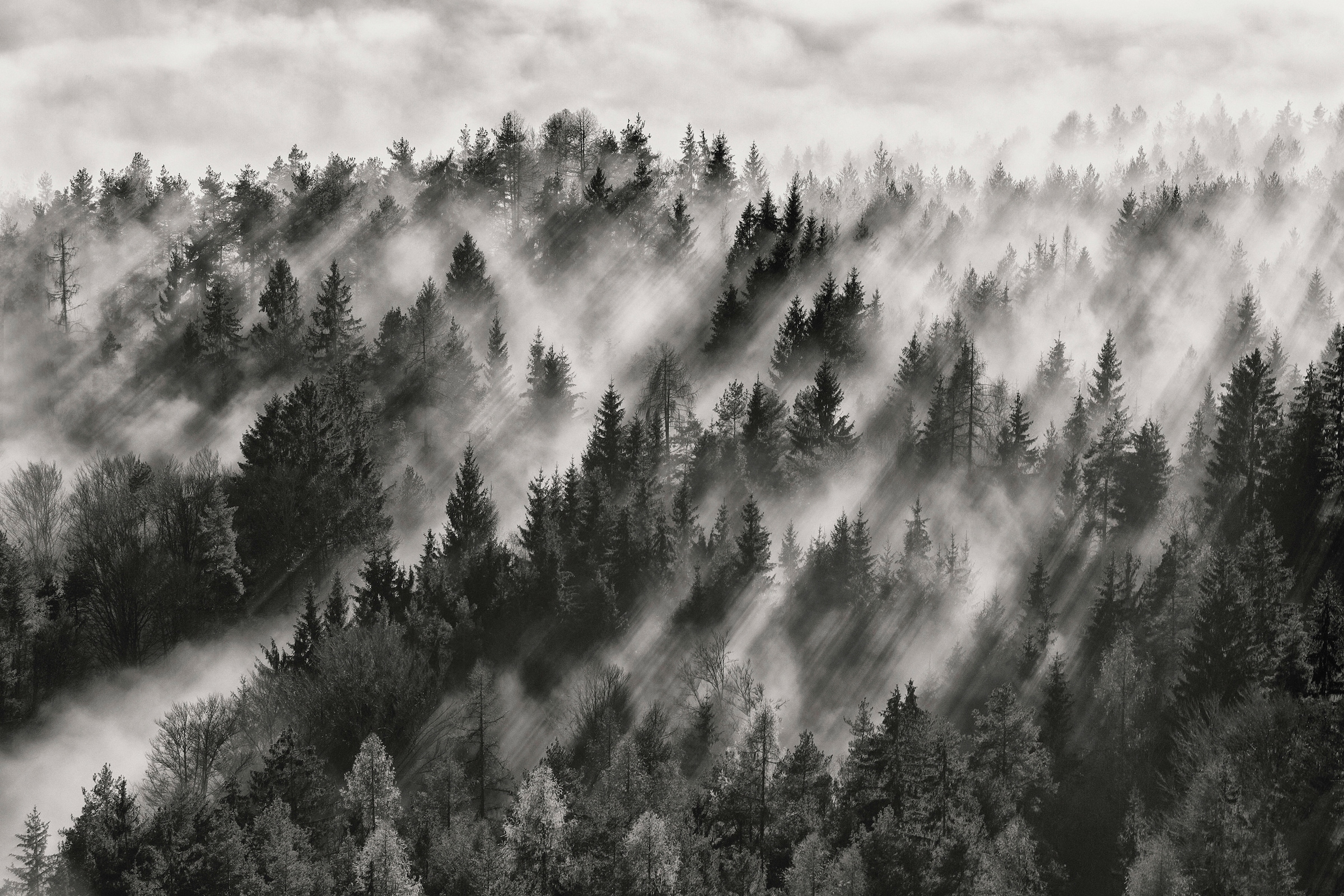 Papermoon Fototapete "Photo-Art DAVORIN BALOH, SUNDANCE NR1"
