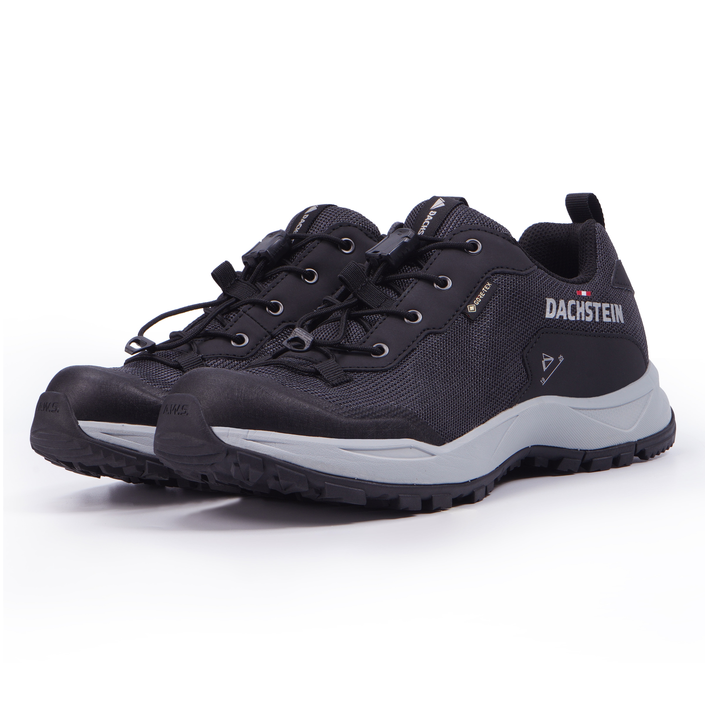 Wanderschuh »DELTA ASCENT GTX WMN«, wasserdicht