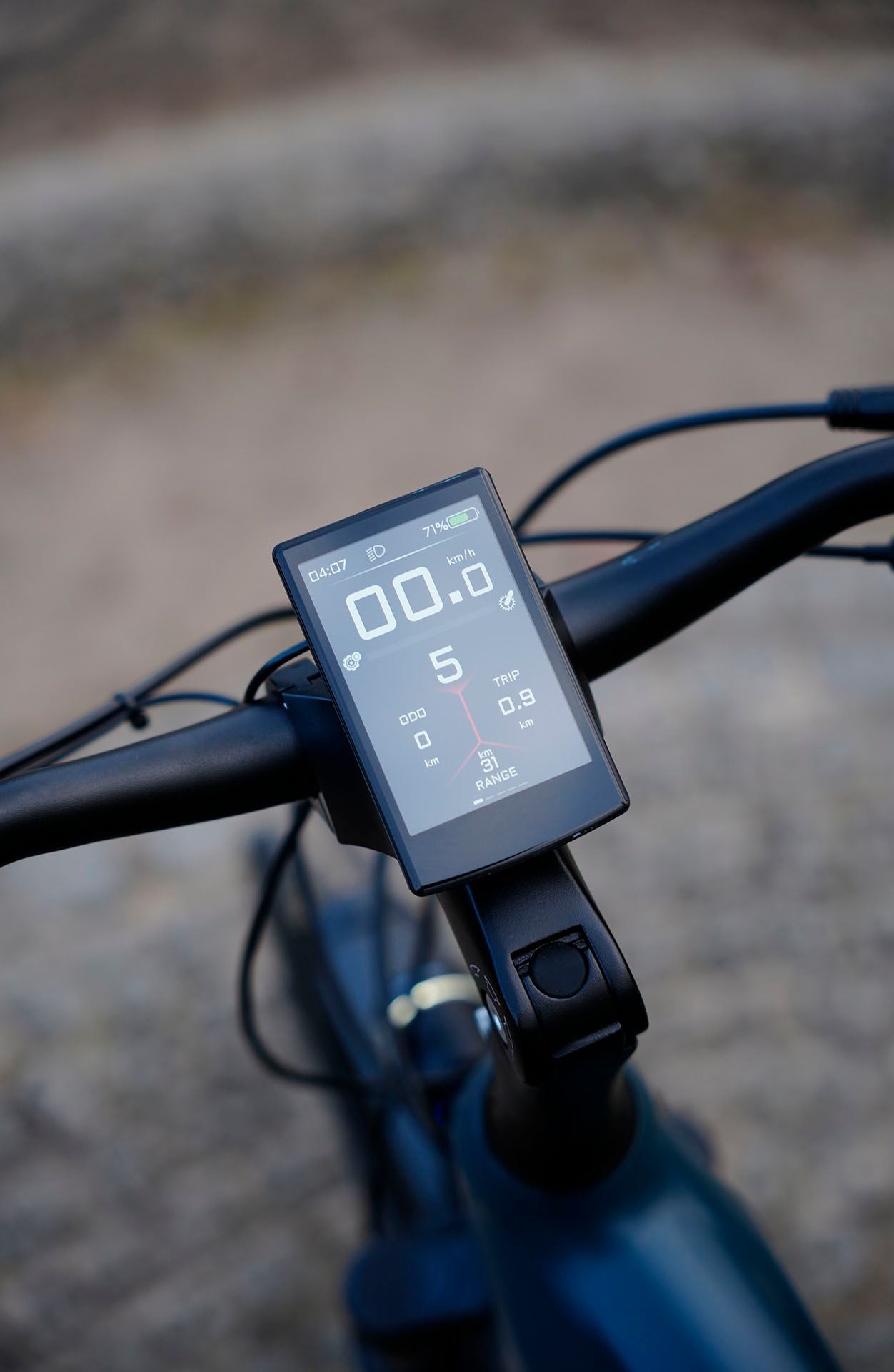 Prophete »Entdecker 4.8« 10 Gang microSHIFT XLE Schaltwerk Kettenschaltung Mittelmotor 250 W