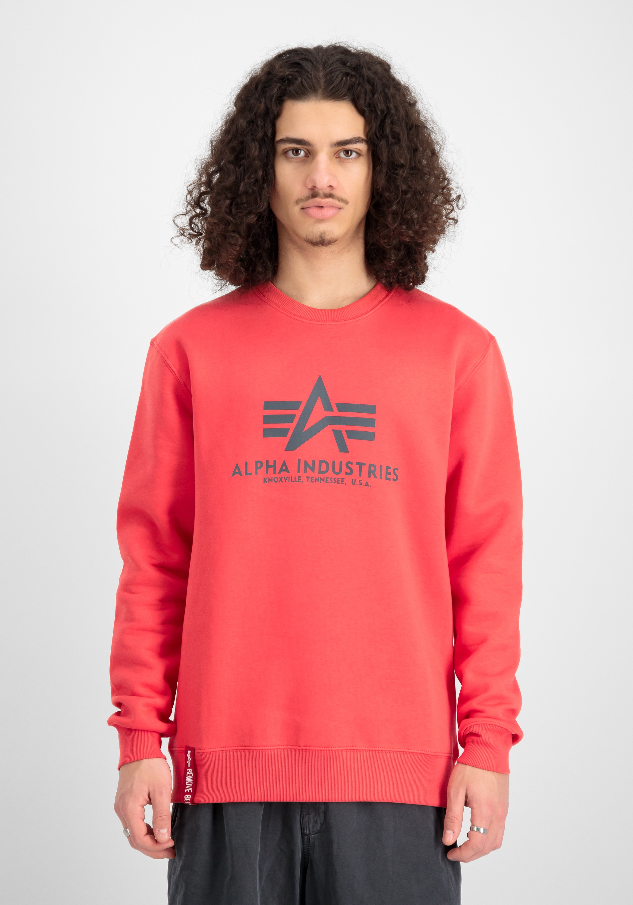Alpha Industries Sweater »Alpha Industries Men - Sweatshirts Basic Sweater«