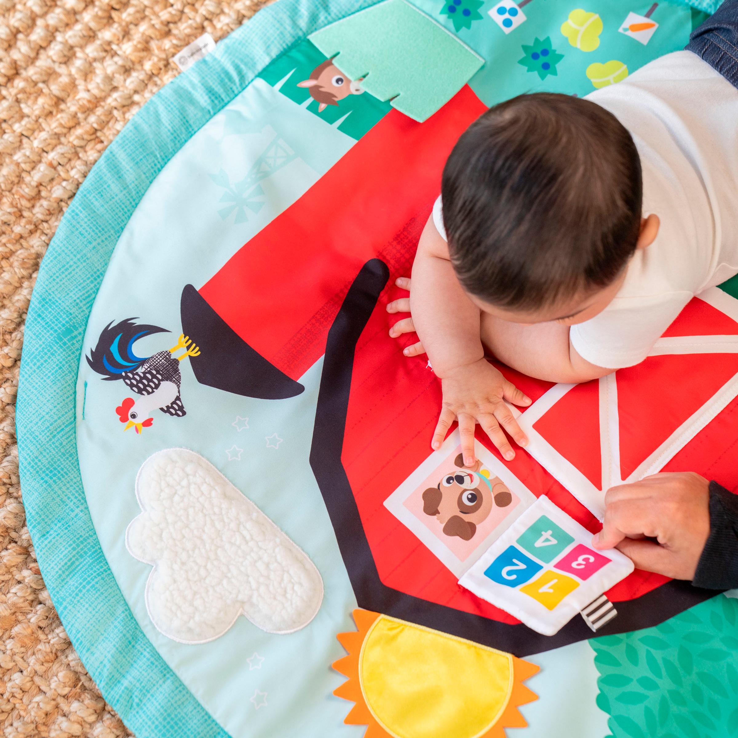 Baby Einstein Spielbogen »Happy Harvest Touch & Feel Activity Gym«, mit Soundeffekt