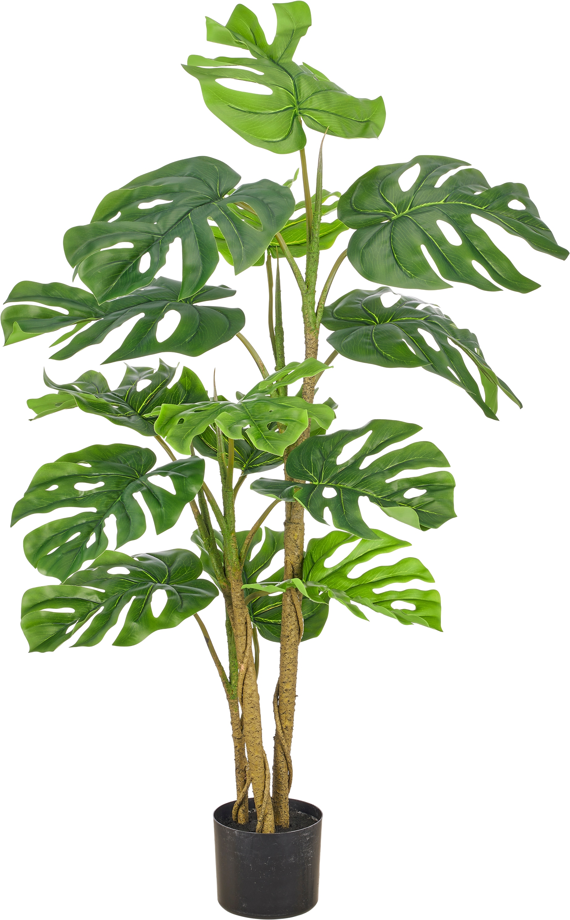 Creativ green Kunstpflanze "Splitphilodendron" mit naturgetreuem Blattwerk